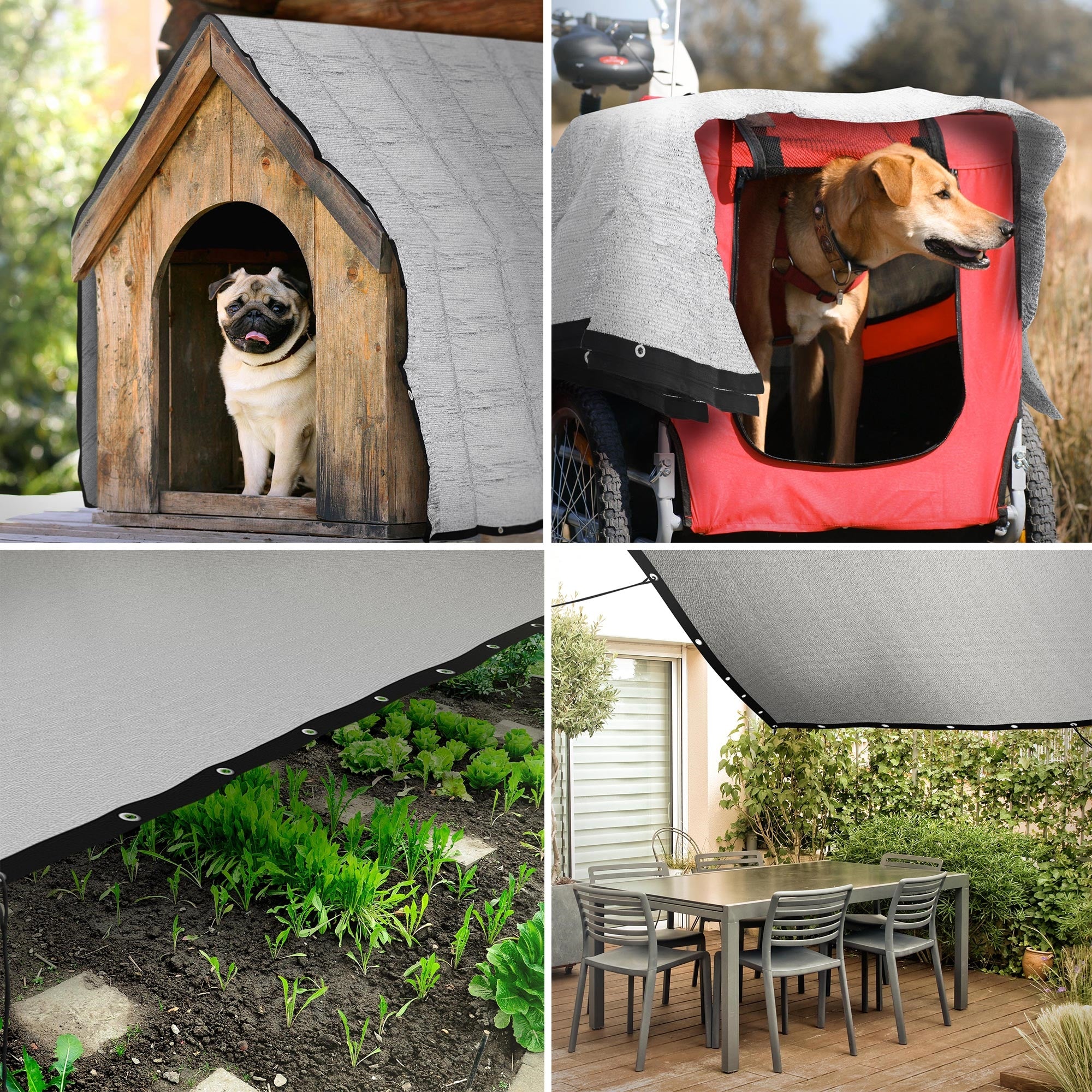 Vier Bilder: Hundehütte, Hund im Wagen, Pflanzen und Tisch mit Sonnenschutz.