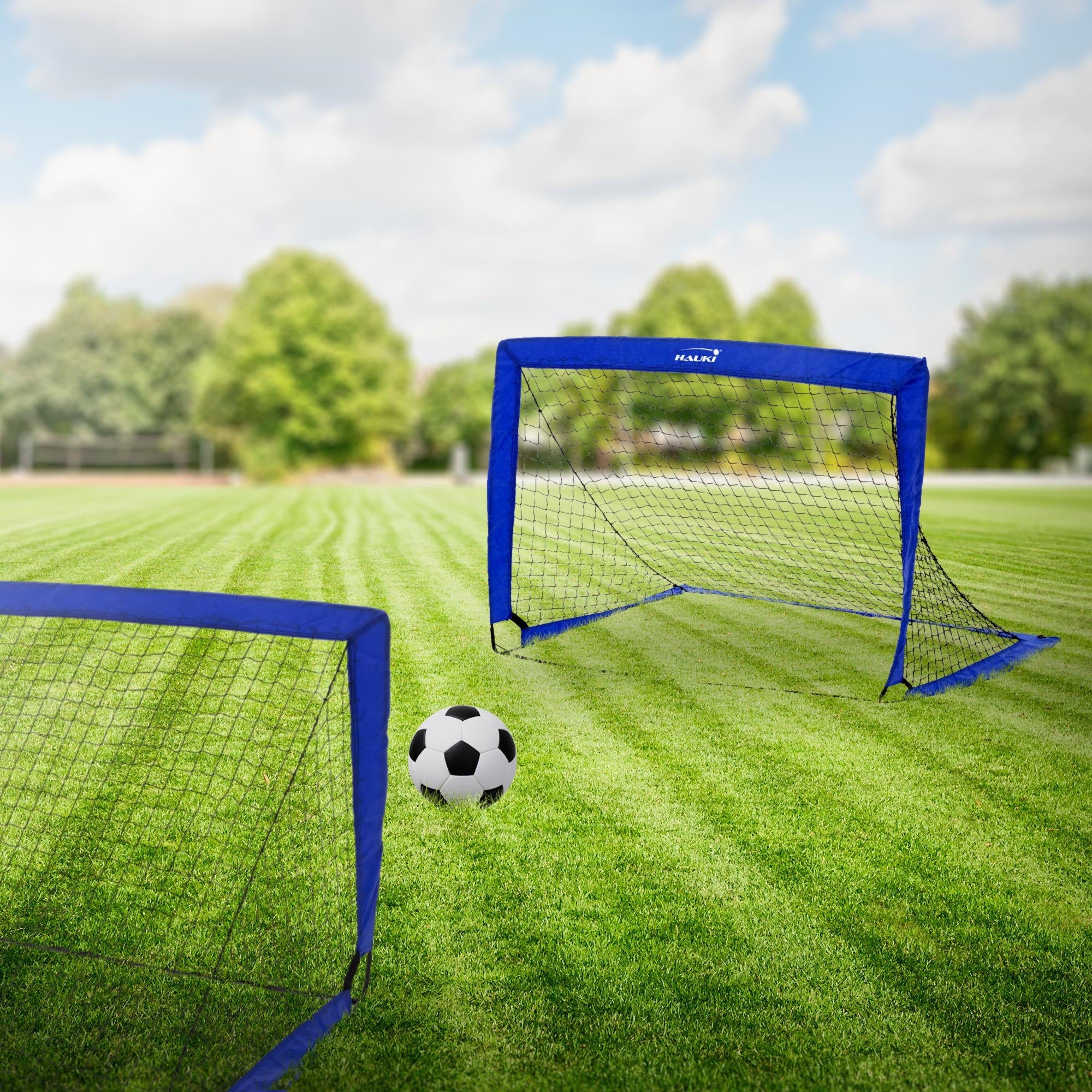 Zwei Fußballtore auf einem Rasenplatz mit einem Ball.