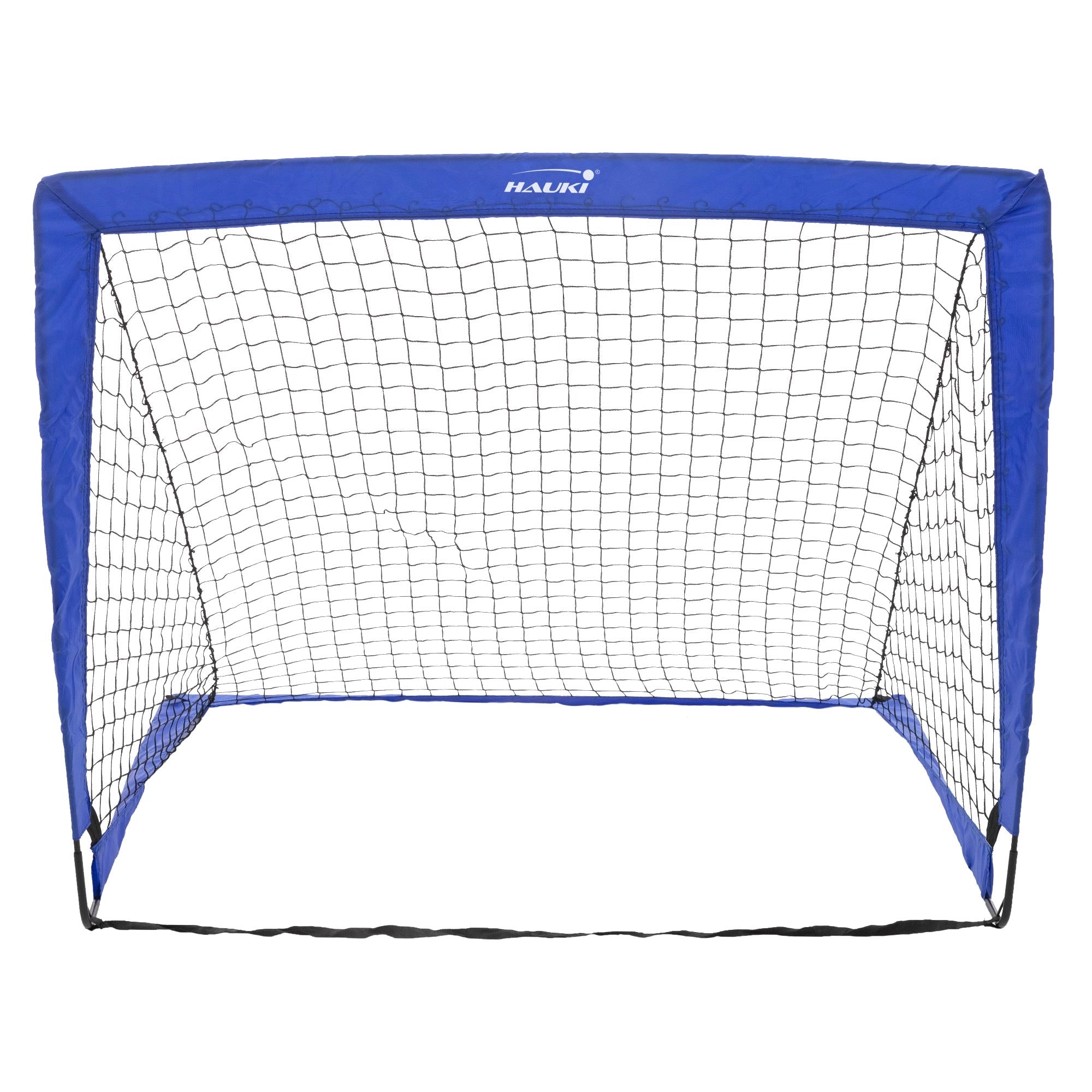 Fußballtor mit blauer Umrandung und Netz.
