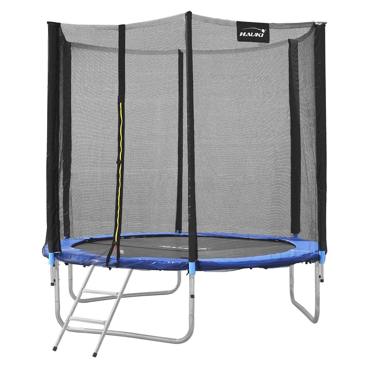 Rundes Trampolin mit Sicherheitsnetz und Leiter.