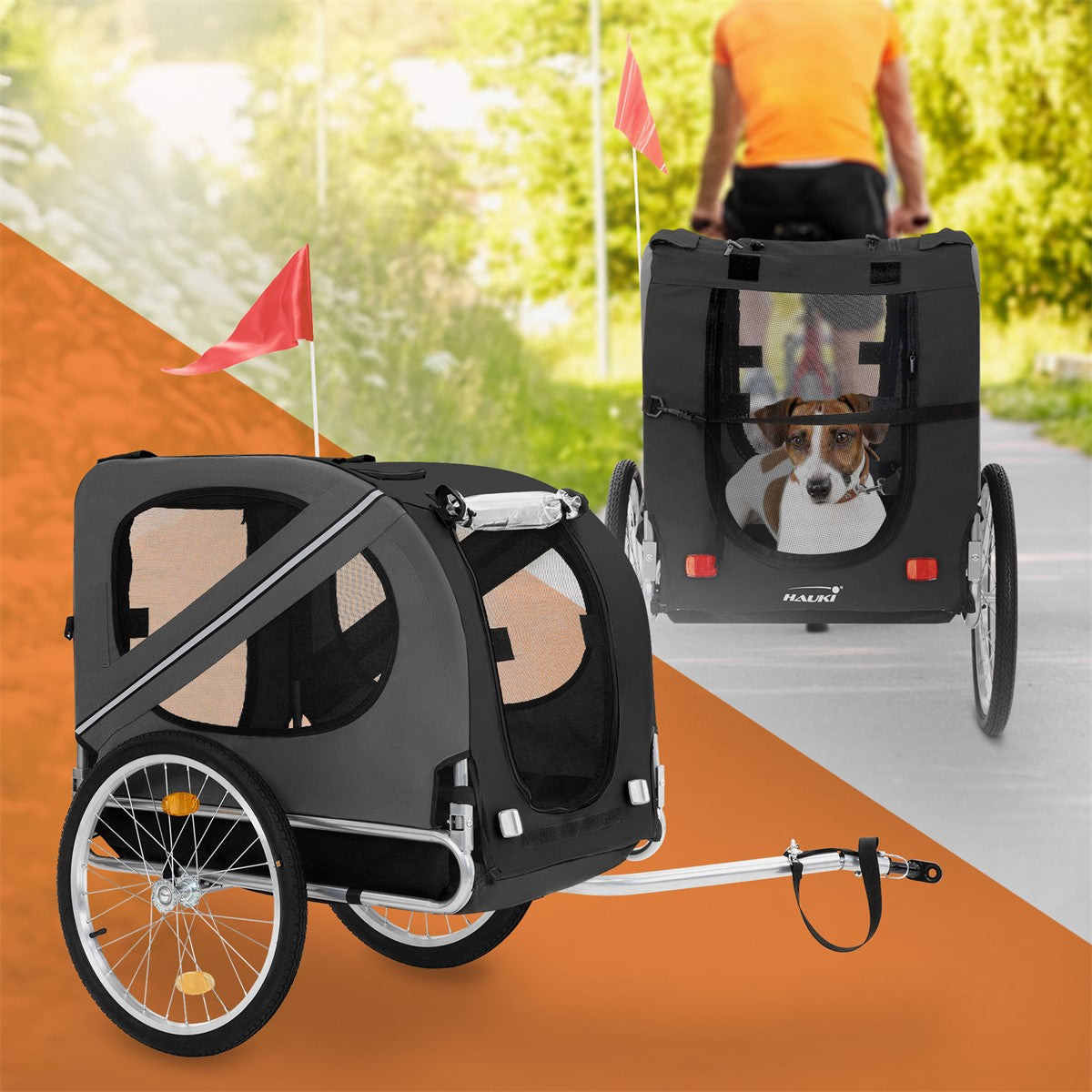 Dog in a bicycle trailer with red flags on a path.