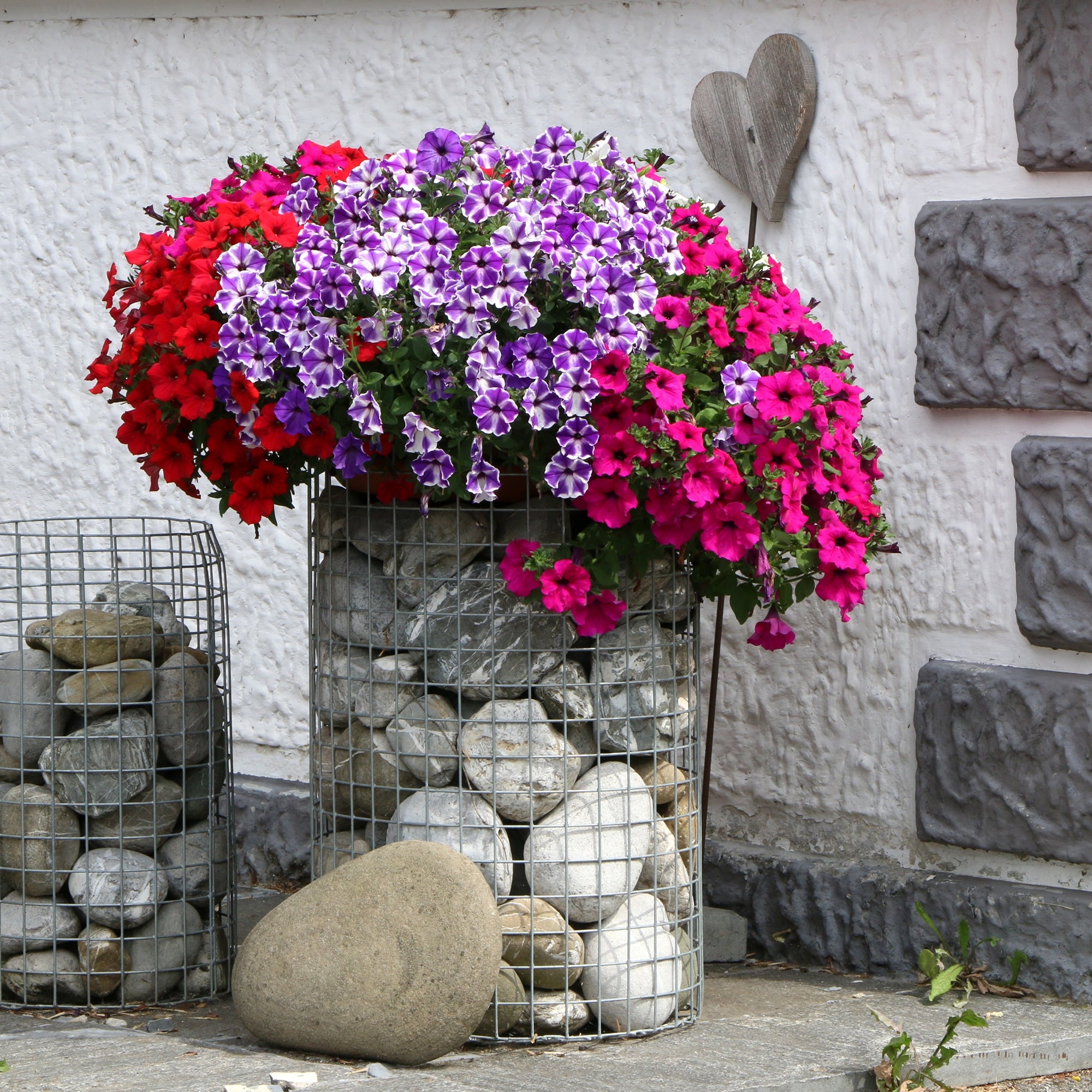 Blumen in verschiedenen Farben in einem Drahtkorb, umgeben von Steinen.