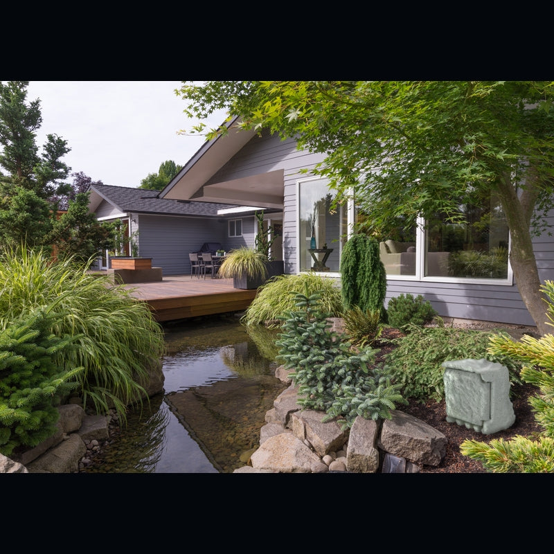 Garden view with plants, pond, and wooden terrace.