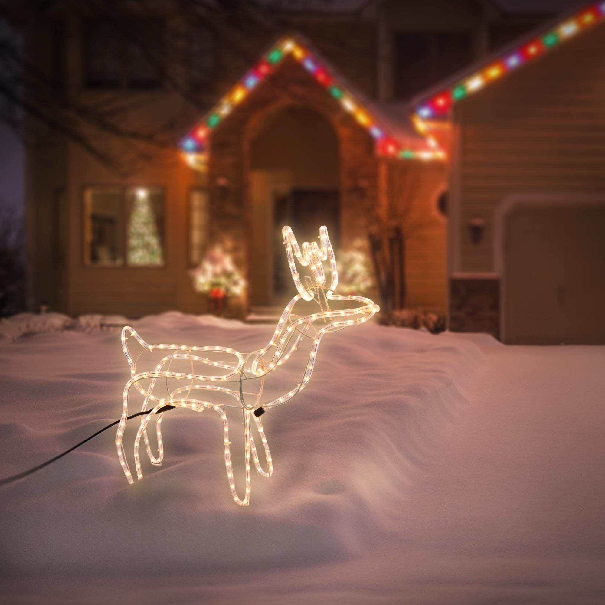 Renna illuminata nella neve davanti a una casa decorata per le feste.