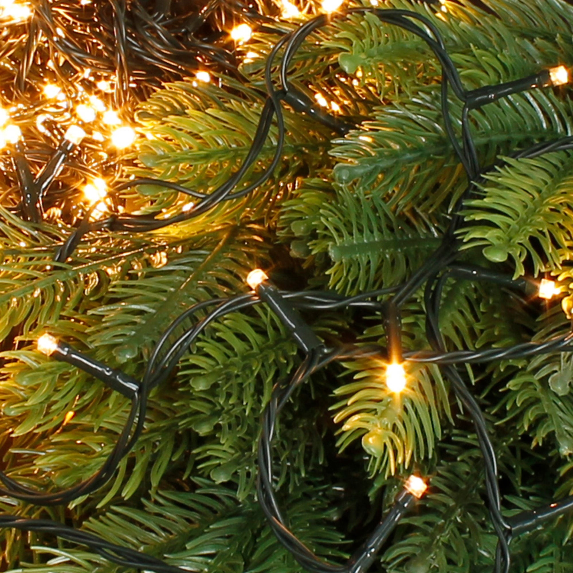 Cadena de luces con LEDs brillantes, rodeada de ramas de abeto verdes.