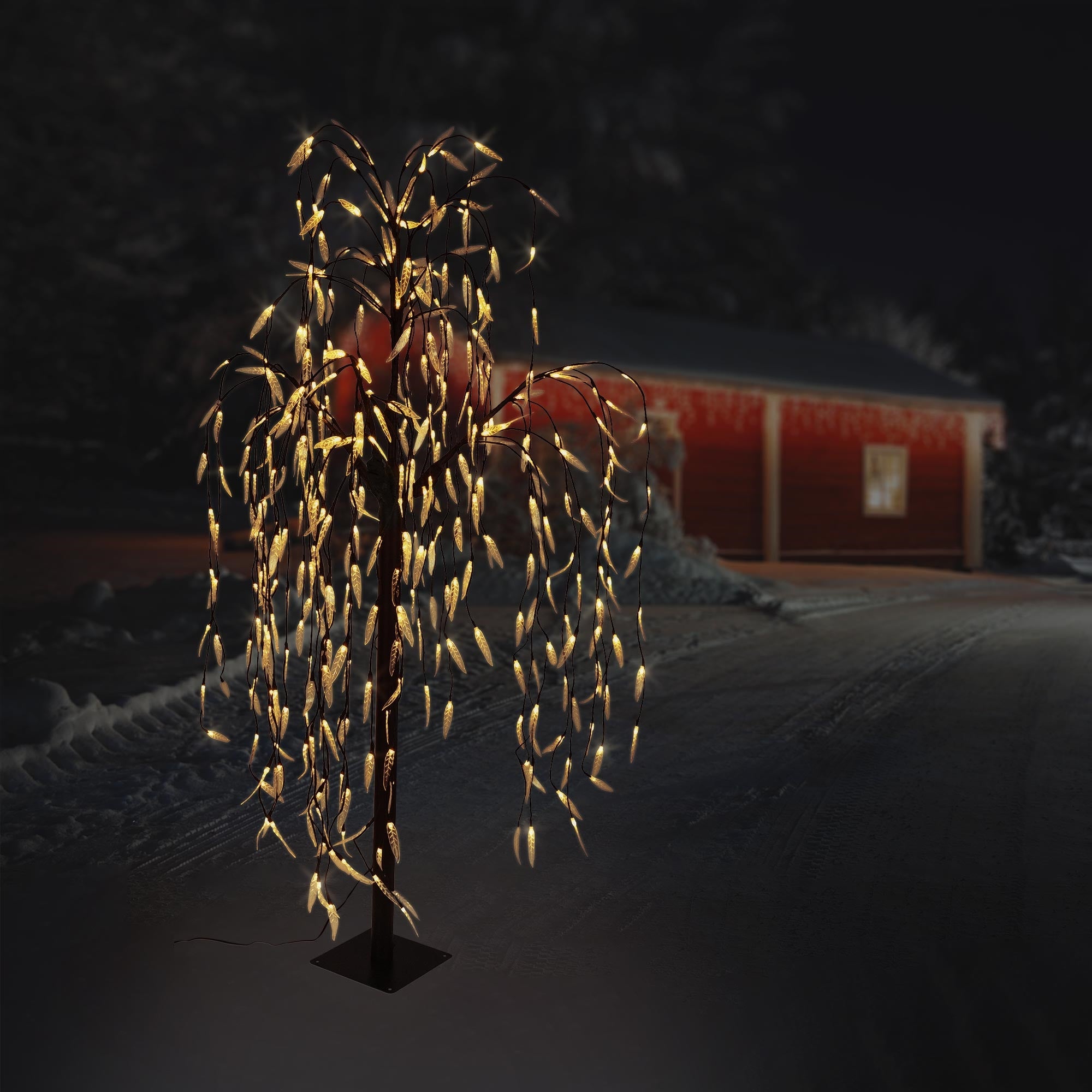 Beleuchteter Baum im Schnee bei Nacht, mit warmen Lichtern.