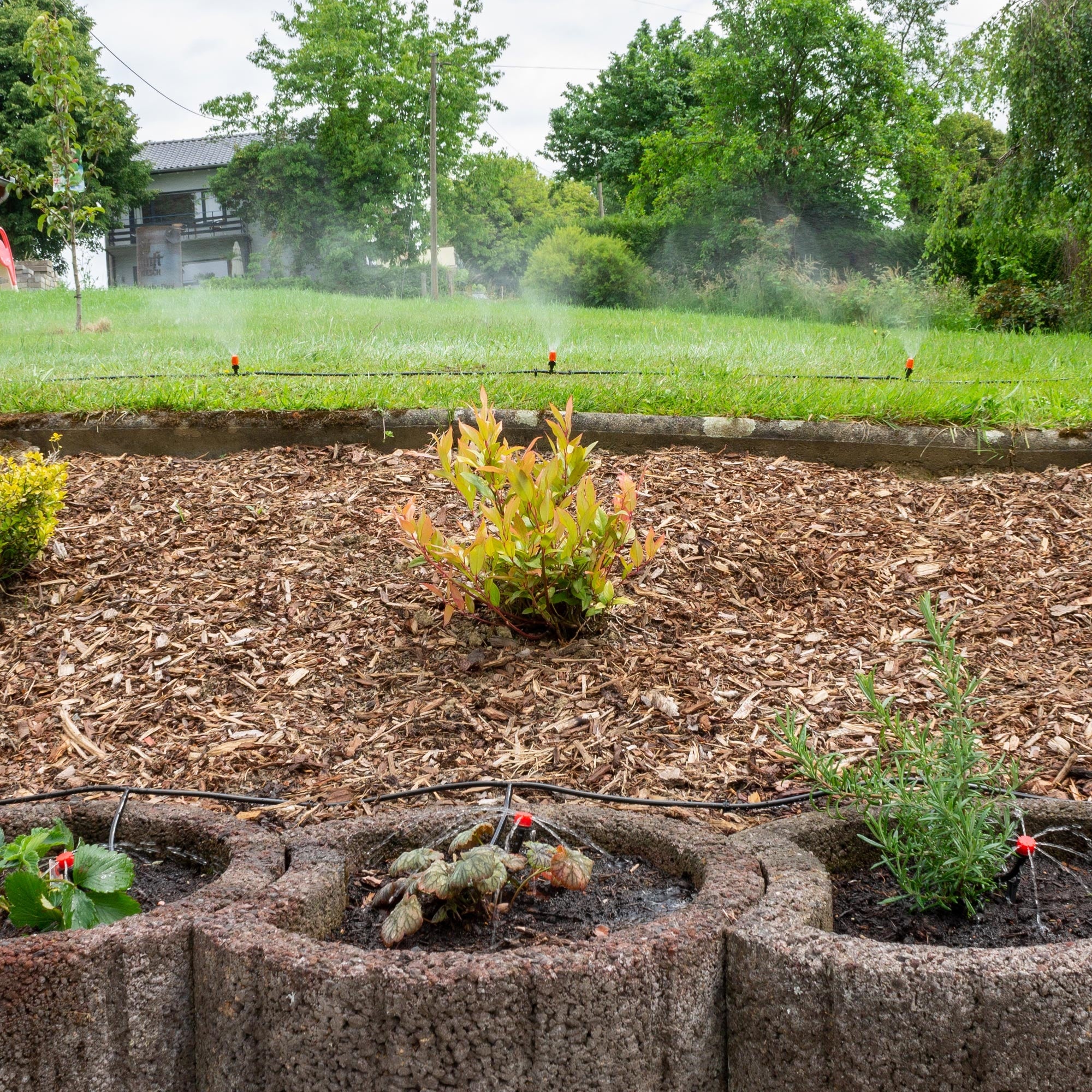 Have med sprinkleranlæg og plantebede.