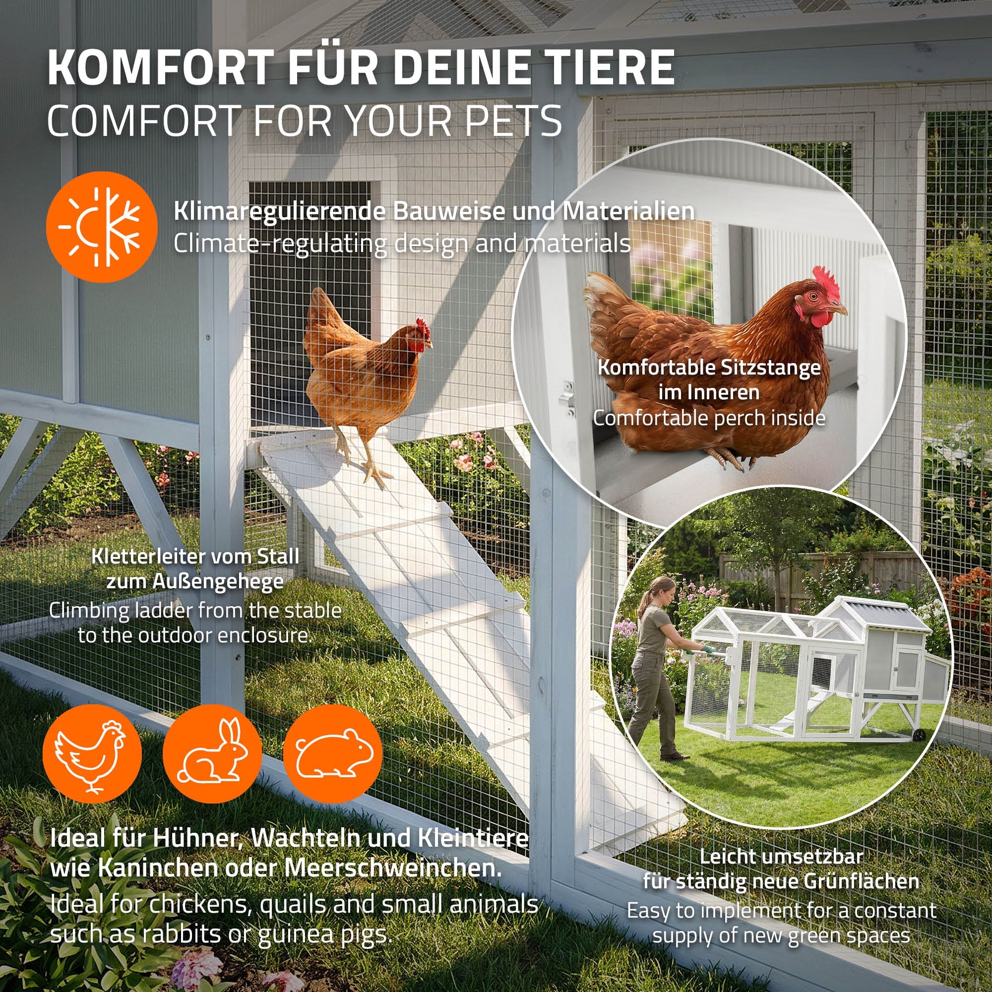 Hühner im Freigehege mit komfortablem Innenraum.