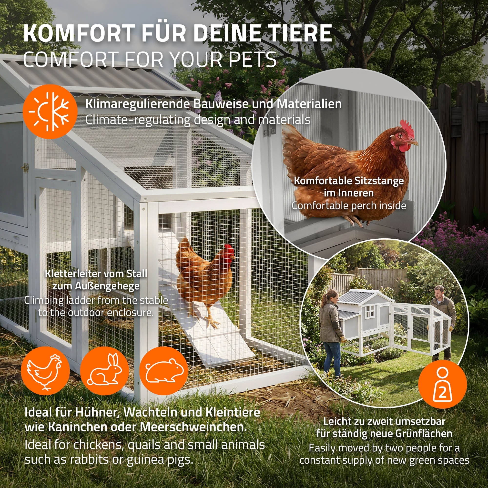 Hühner im Freigehege mit komfortablem Innenraum.