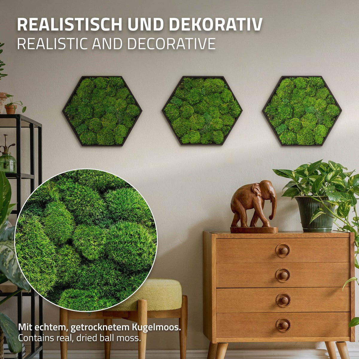 Drei sechseckige Moosbilder hängen über einer Kommode; ein vergrößerter Ausschnitt zeigt Kugelmoos.
