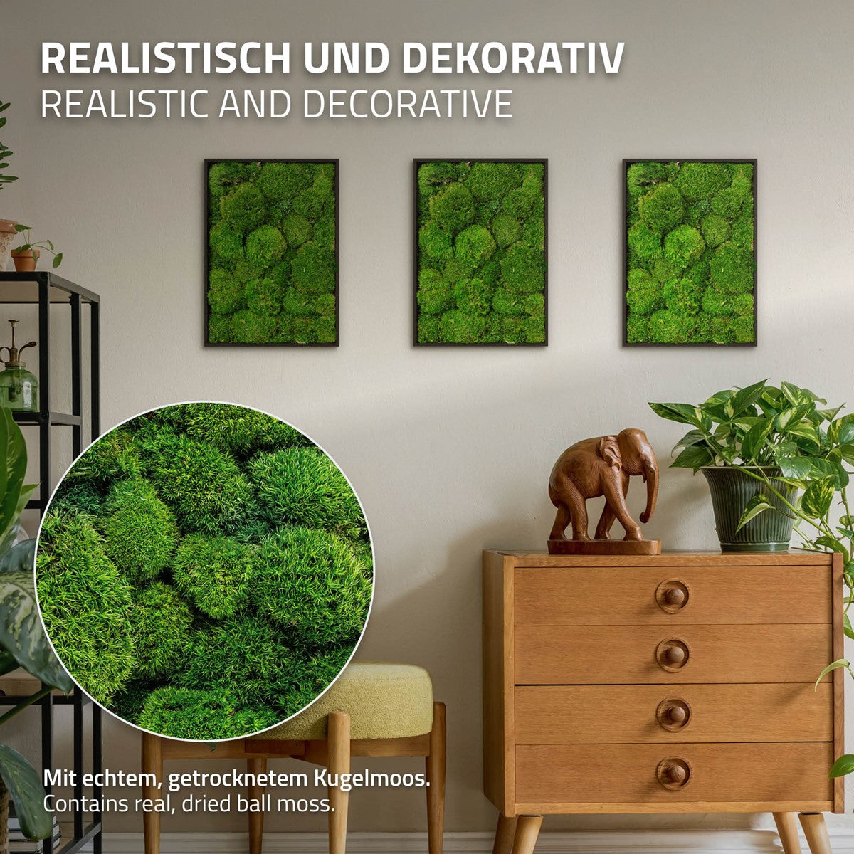 Drei rechteckige Moosbilder hängen über einer Kommode; eine runde Nahaufnahme zeigt die Moosstruktur.