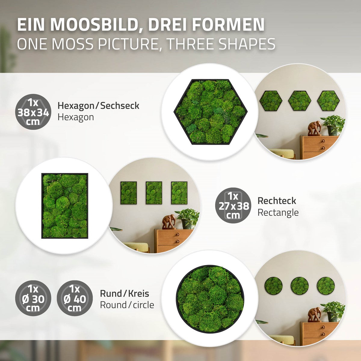 Moosbilder in Sechseck-, Rechteck- und Kreisform mit Maßen; rechts sind Beispiele für Wandarrangements zu sehen.