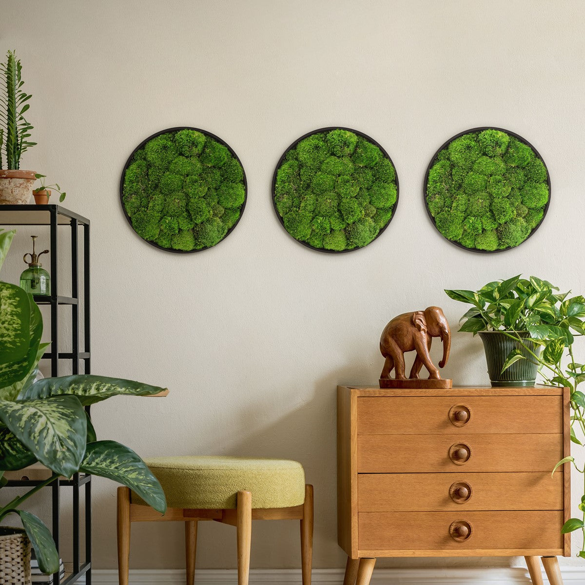 Drei runde grüne Moosbilder hängen nebeneinander an einer hellen Wand über einer Kommode.