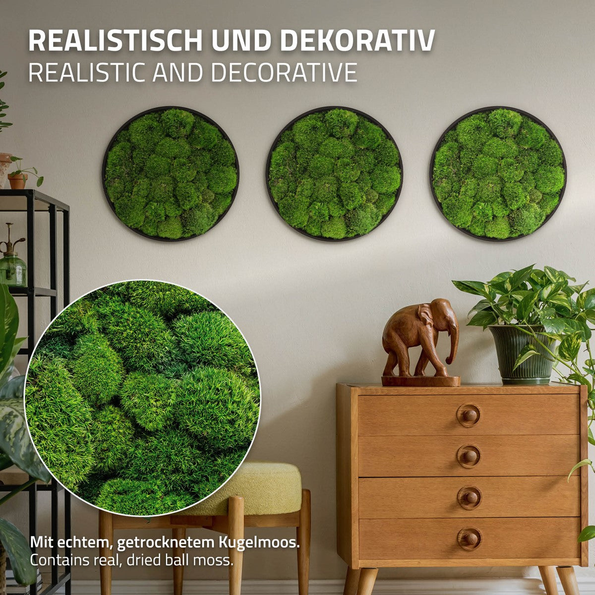 Drei runde Moosbilder hängen über einer Kommode; ein vergrößerter Ausschnitt zeigt das Kugelmoos.