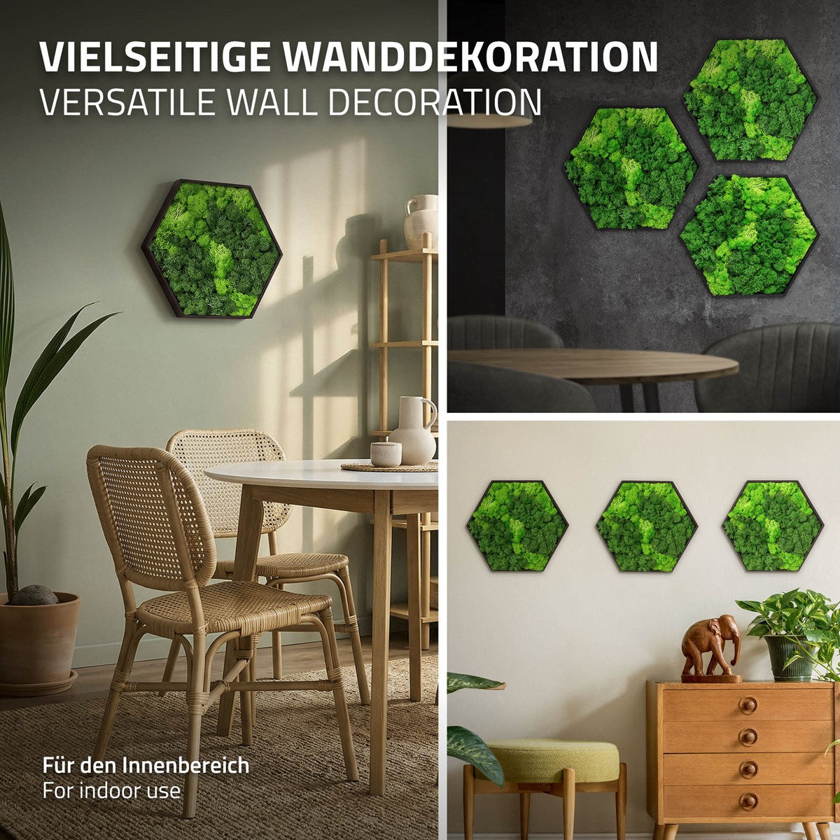 Bild100005_IP-2547_PlusContent_4_ai-generated.jpg