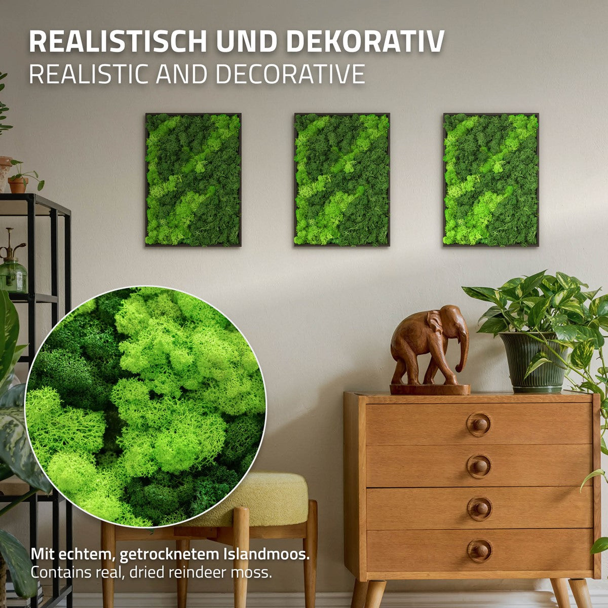 Bild100003_IP-2548_PlusContent_2.jpg