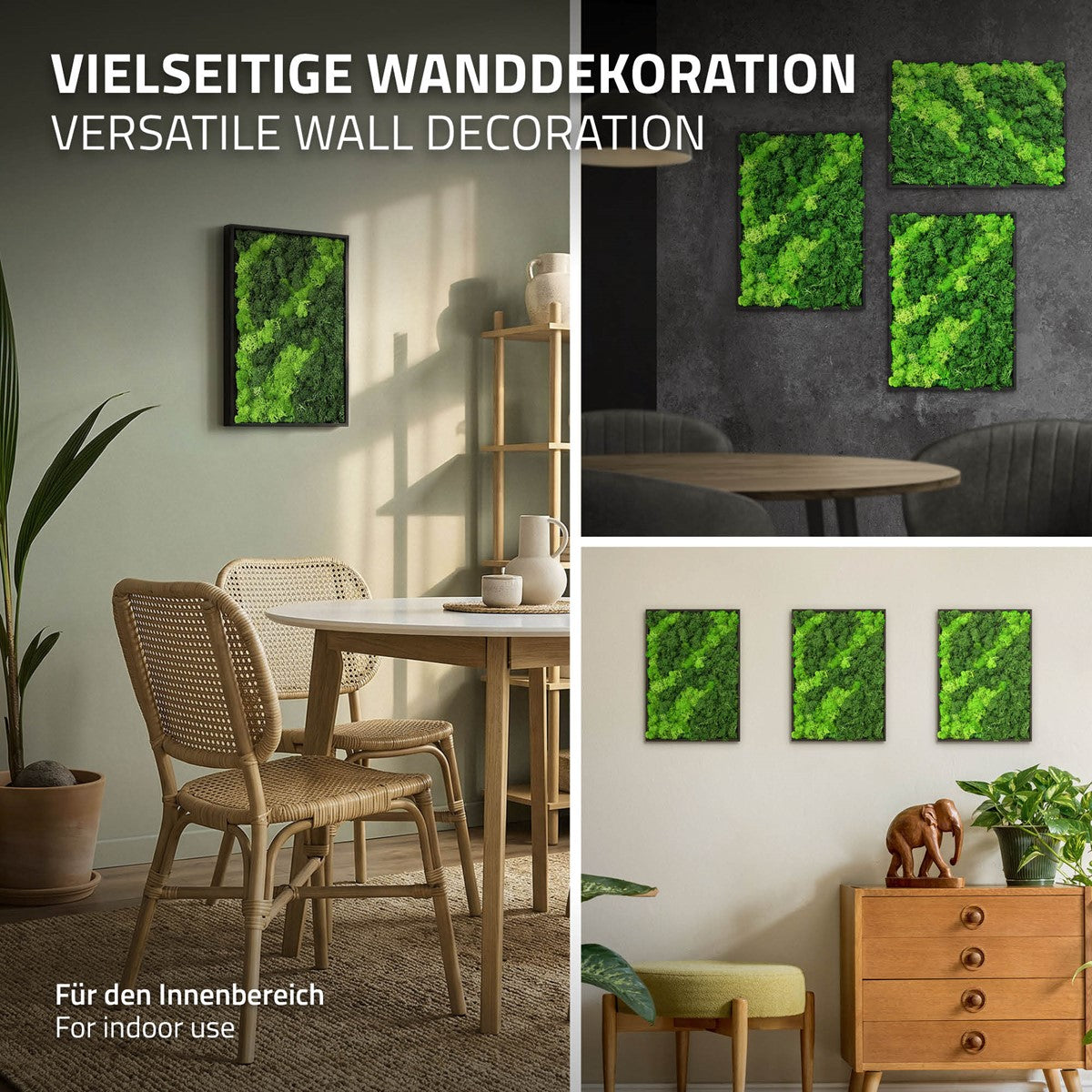 Vier Wohnraumszenen zeigen rechteckige grüne Moosbilder an Wänden. Text: „Vielseitige Wanddekoration“ und „Für den Innenbereich“.