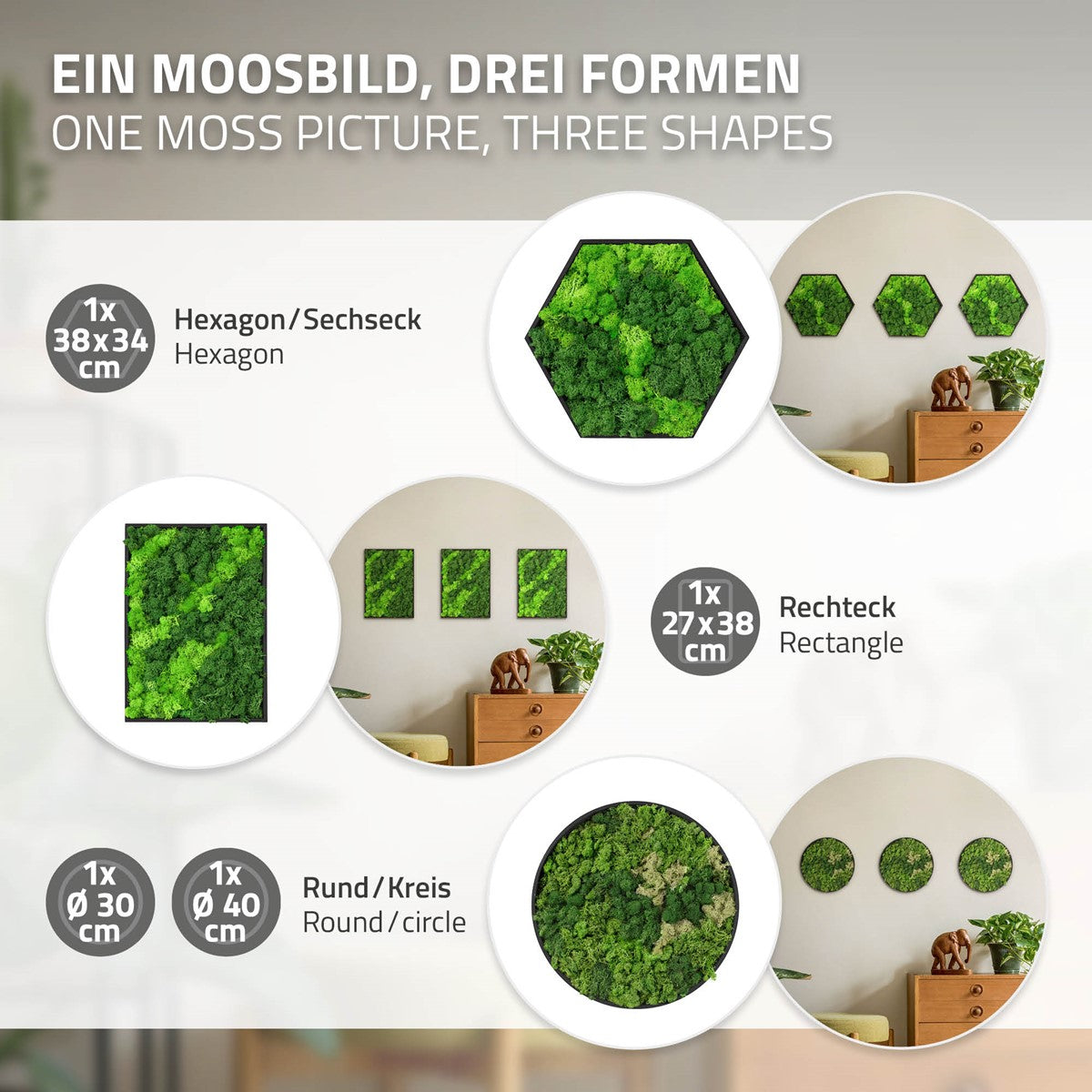 Bild100006_IP-2548_PlusContent_5.jpg