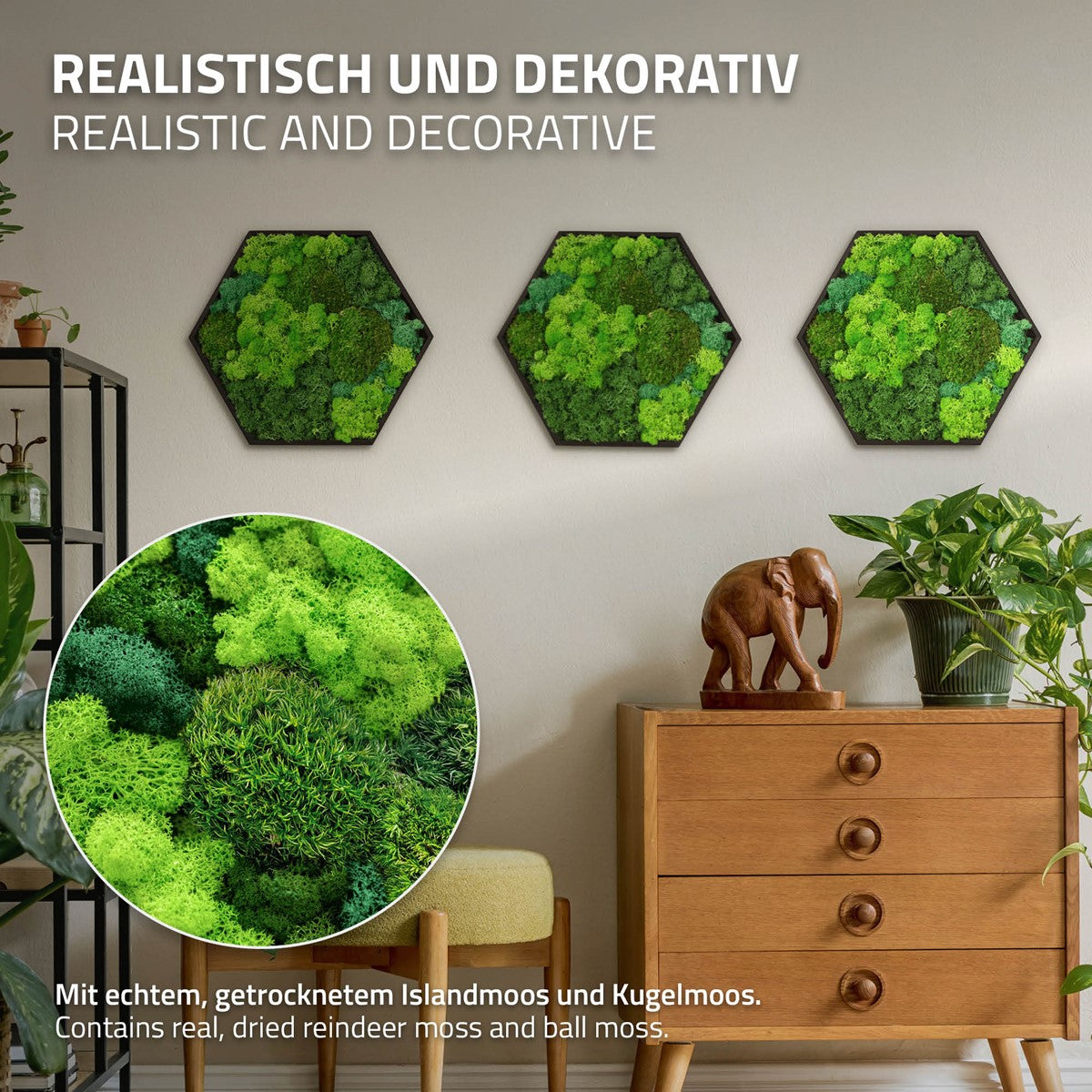 Bild100003_IP-2551_PlusContent_2.jpg