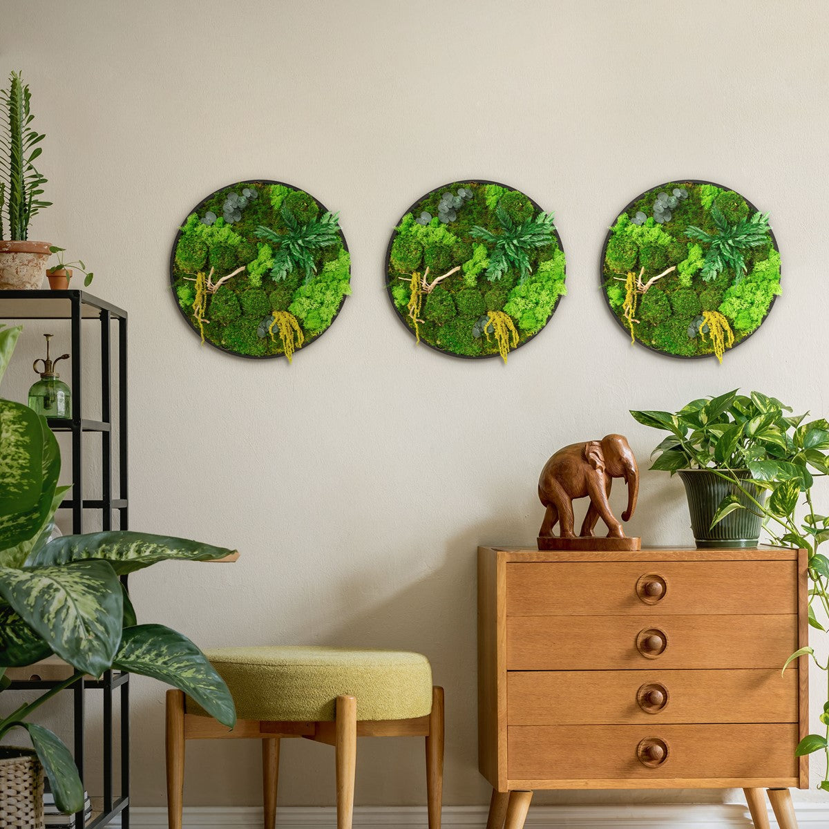 Drei runde Moosbilder hängen nebeneinander an einer hellen Wand über einer Kommode.