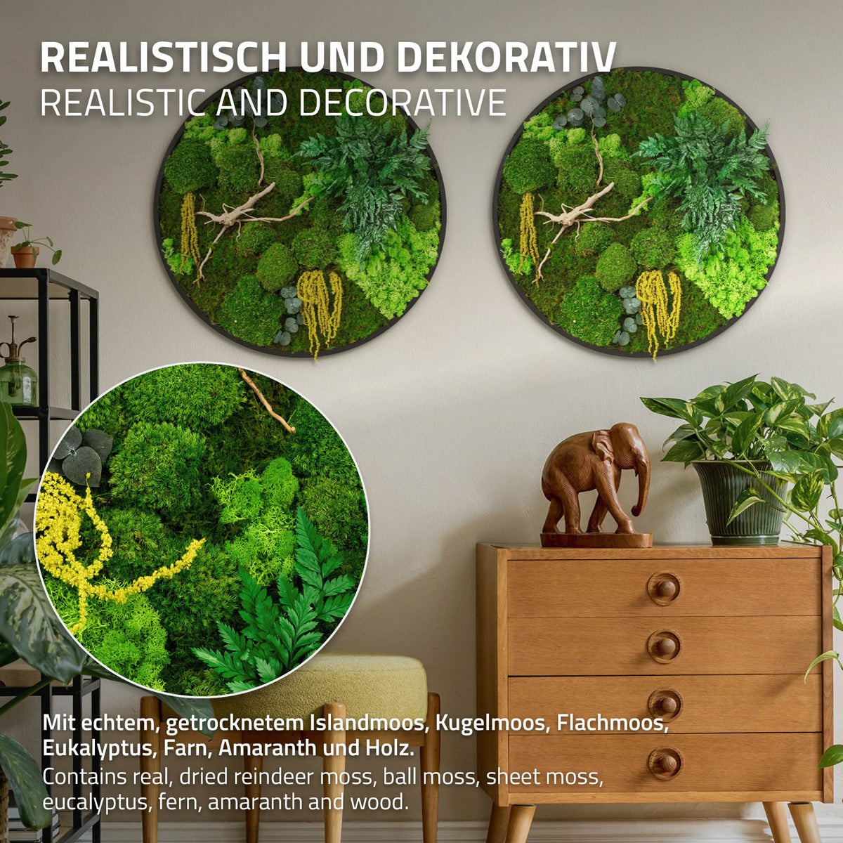 Dva kulaté obrazy z mechu na stěně, vedle nich detailní pohled na rostliny; nad nimi je nápis „Realistické a dekorativní“.