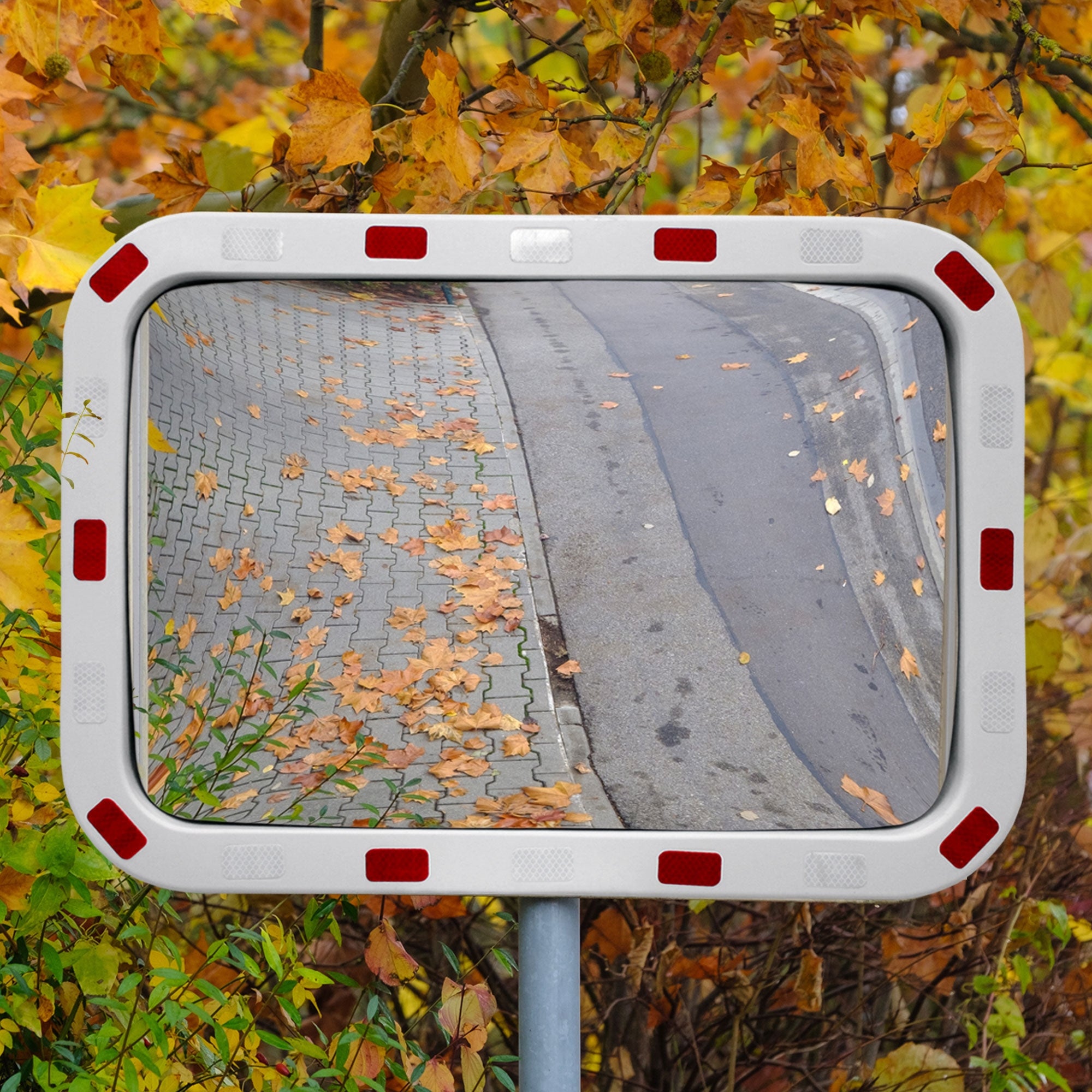 Verkehrsspiegel mit rotem Rand, reflektiert eine Straße mit Laub.