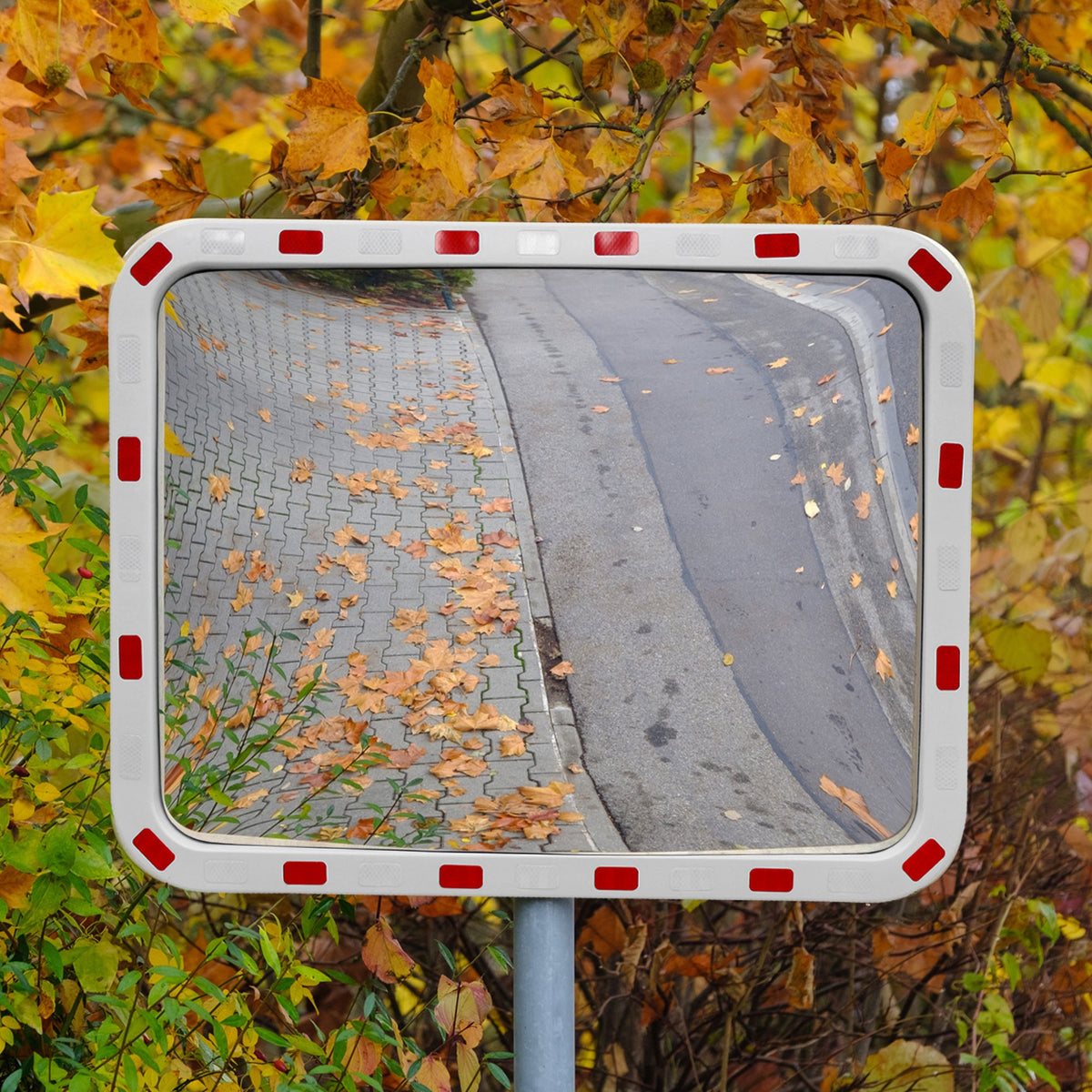 Traffic mirror with reflective surface and autumn leaves in the background.