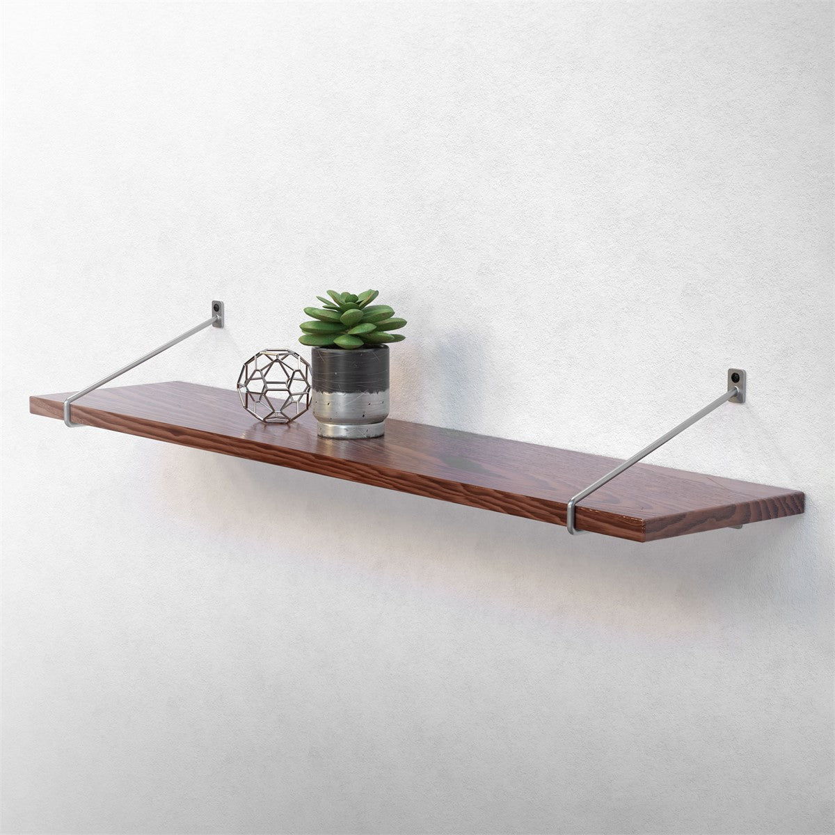 Wooden shelf with plants and decorations on a wall.