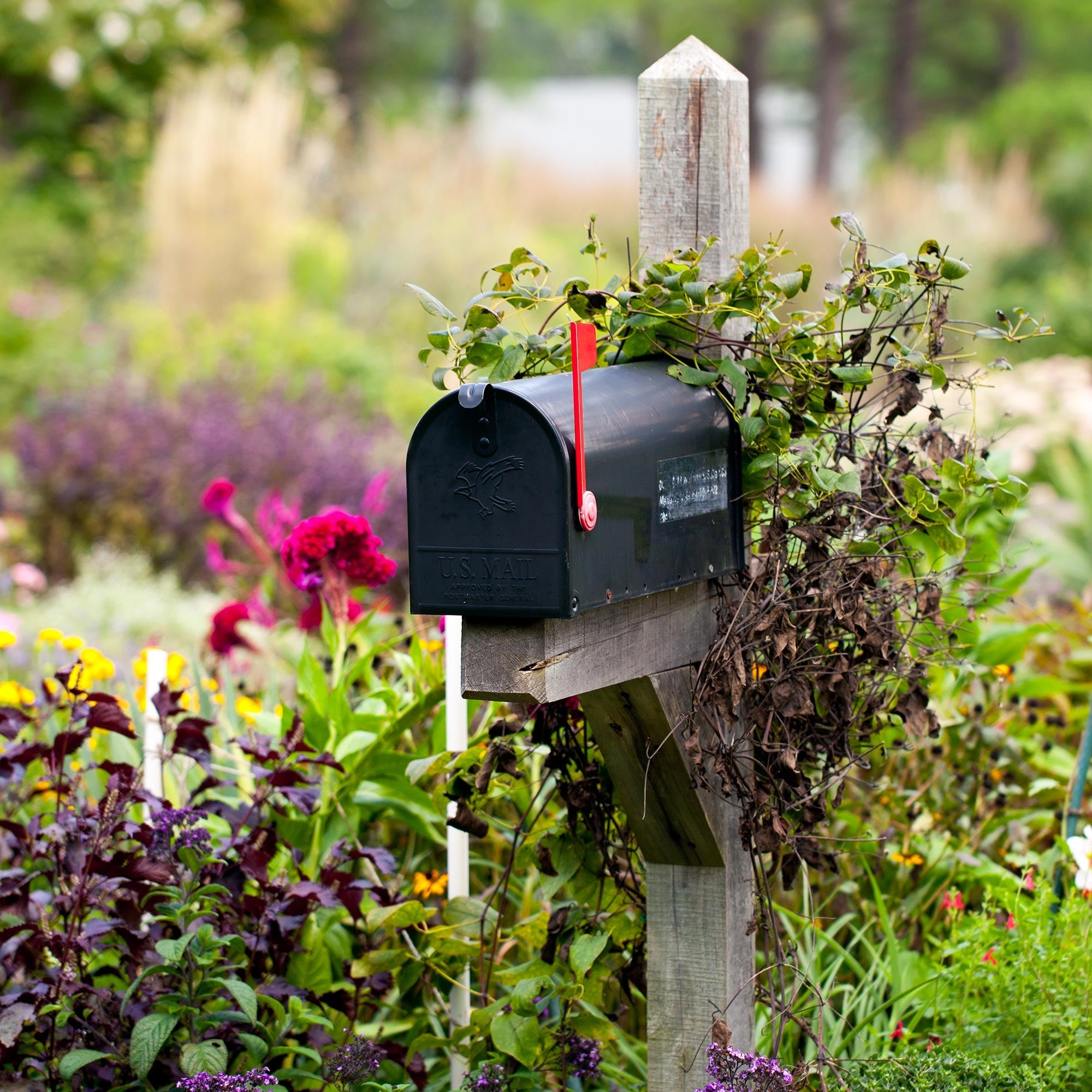 Schwarzer Briefkasten auf einem Holzpfosten, umgeben von bunten Blumen.
