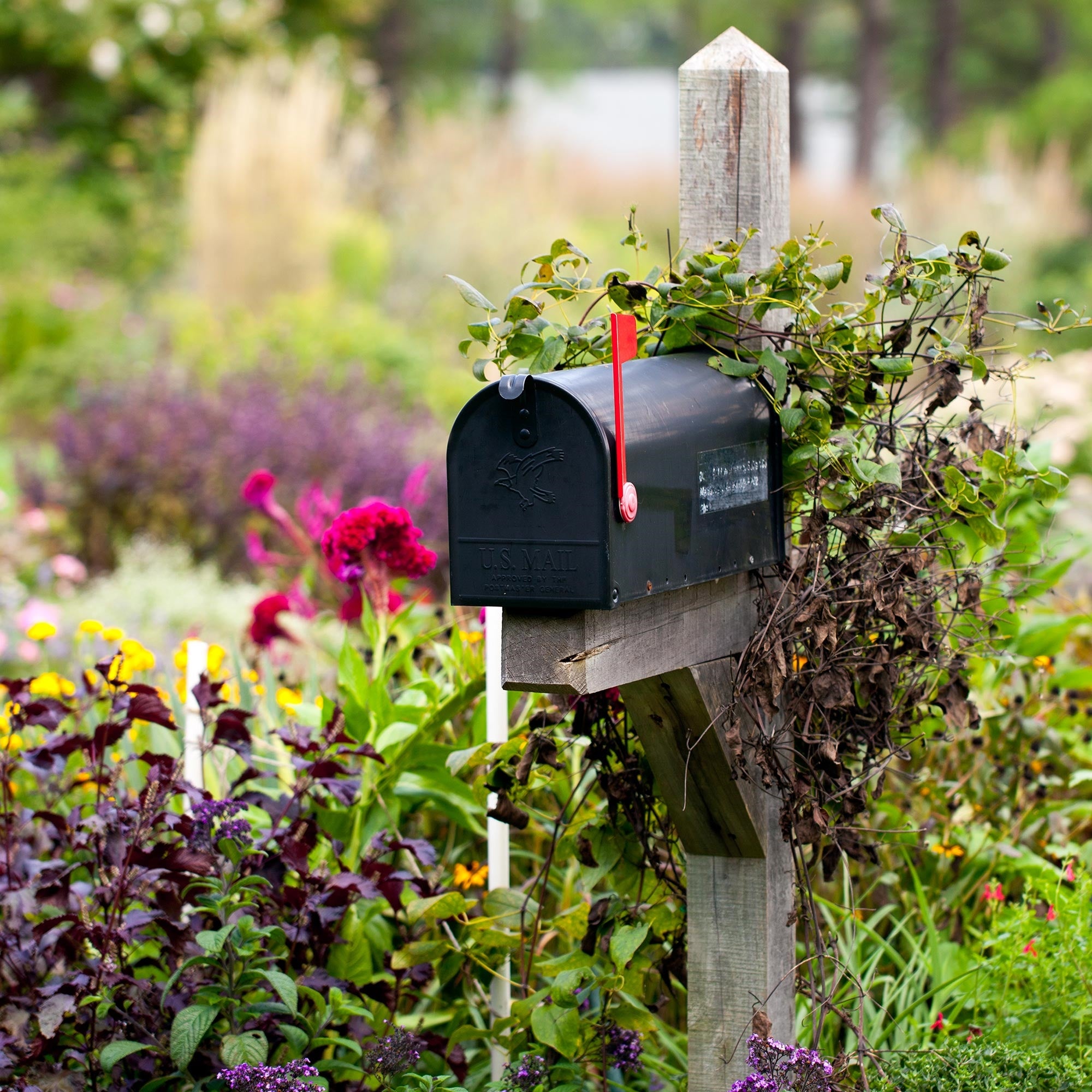 Sort postkasse på en træpæl, omgivet af blomster.