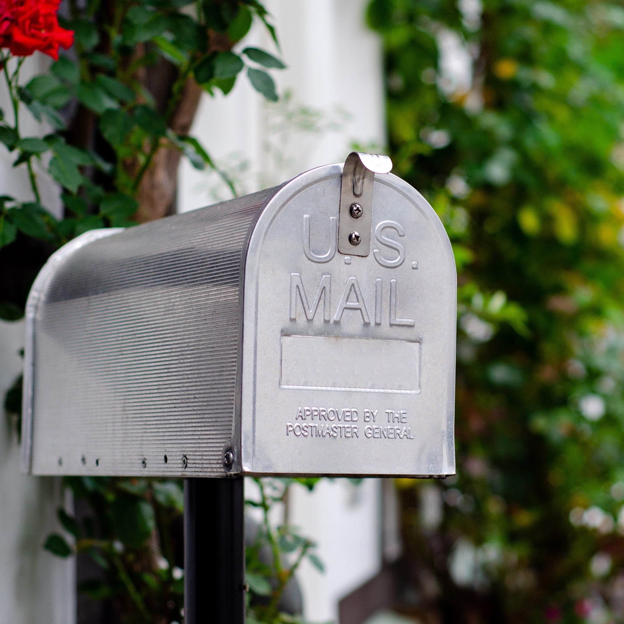 Une boîte aux lettres en argent avec l'inscription 'U.S. MAIL' et des fleurs en arrière-plan.