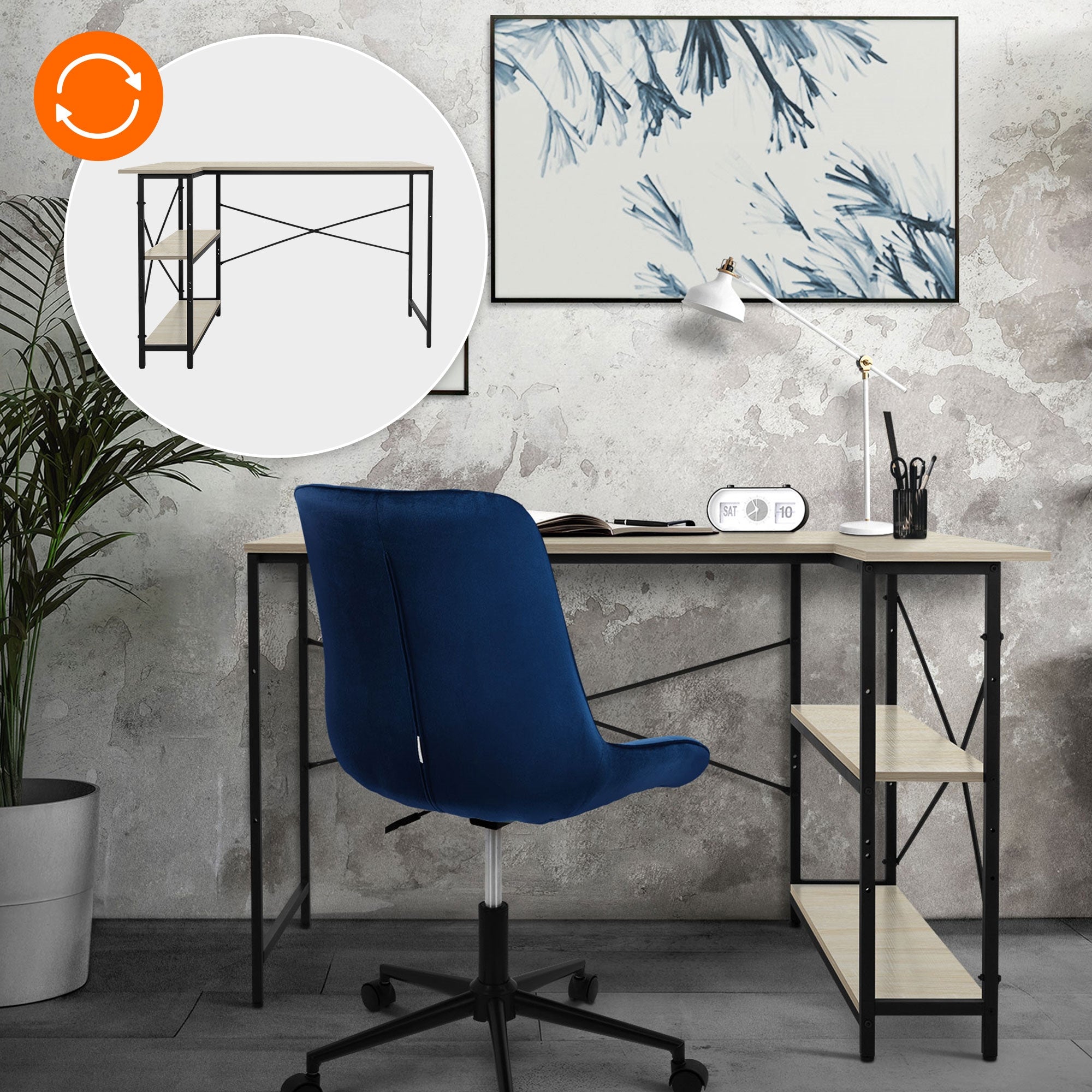 Bureau avec chaise bleue, plantes et images au mur.