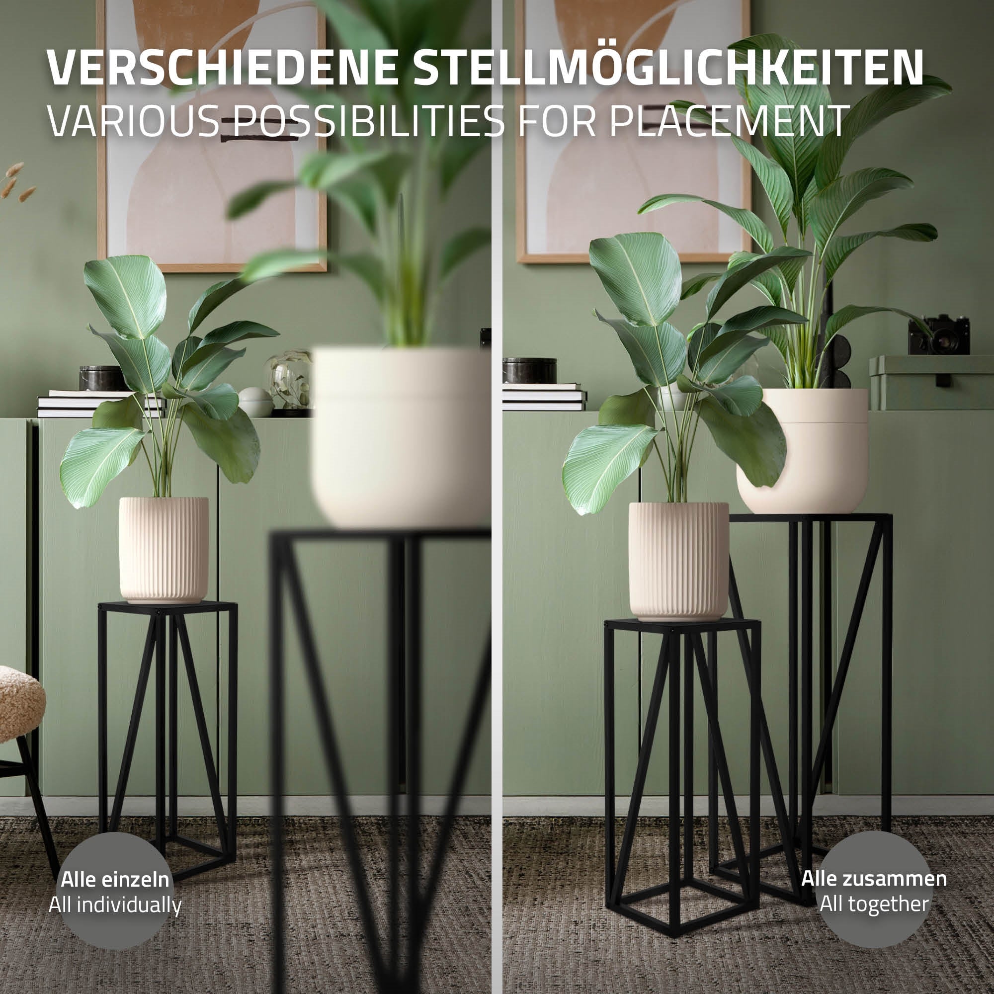 Two plant stands with green plants, black frames, on a light background.