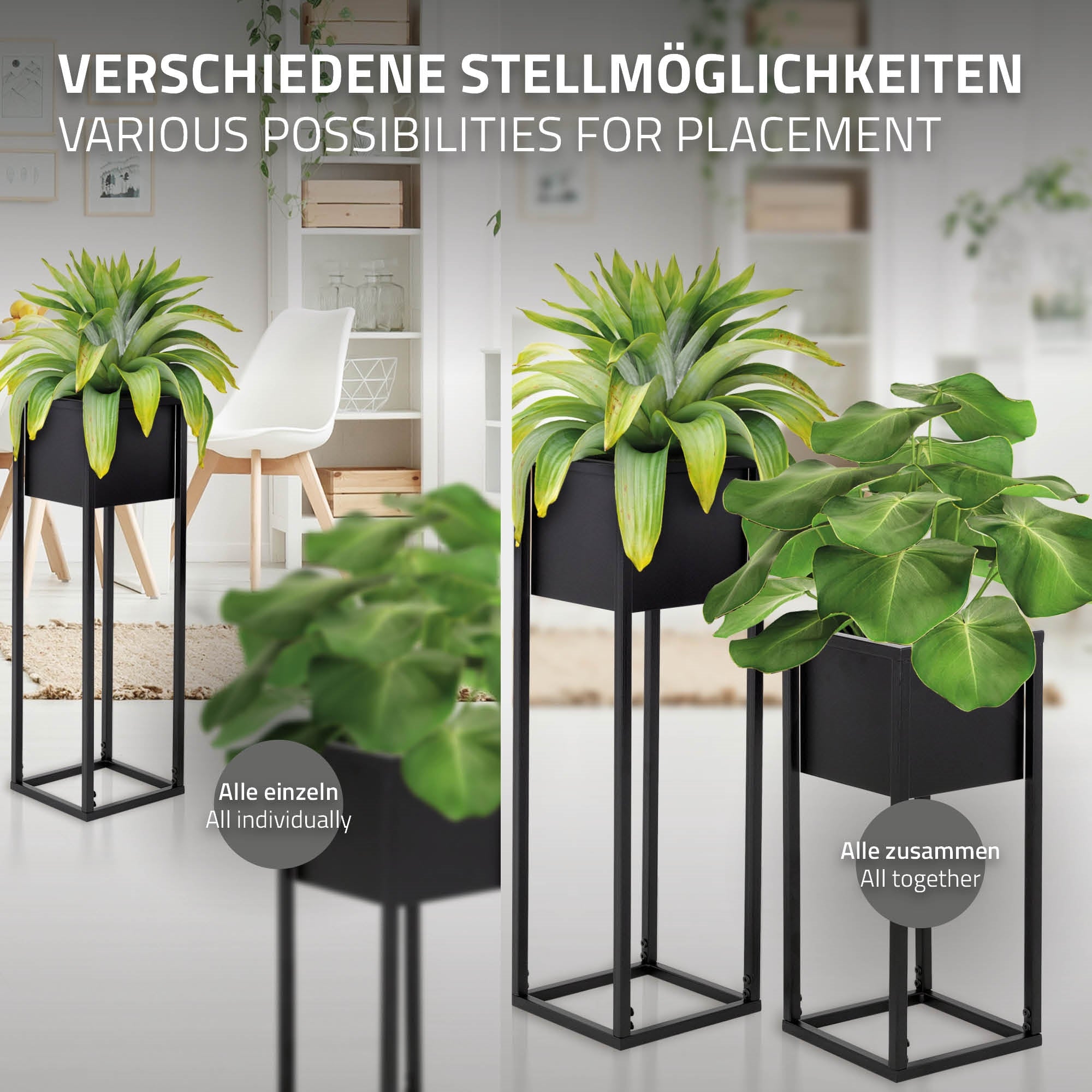 Zwei Pflanzen in schwarzen Töpfen auf hohen Ständern, mit Text über Stellmöglichkeiten.