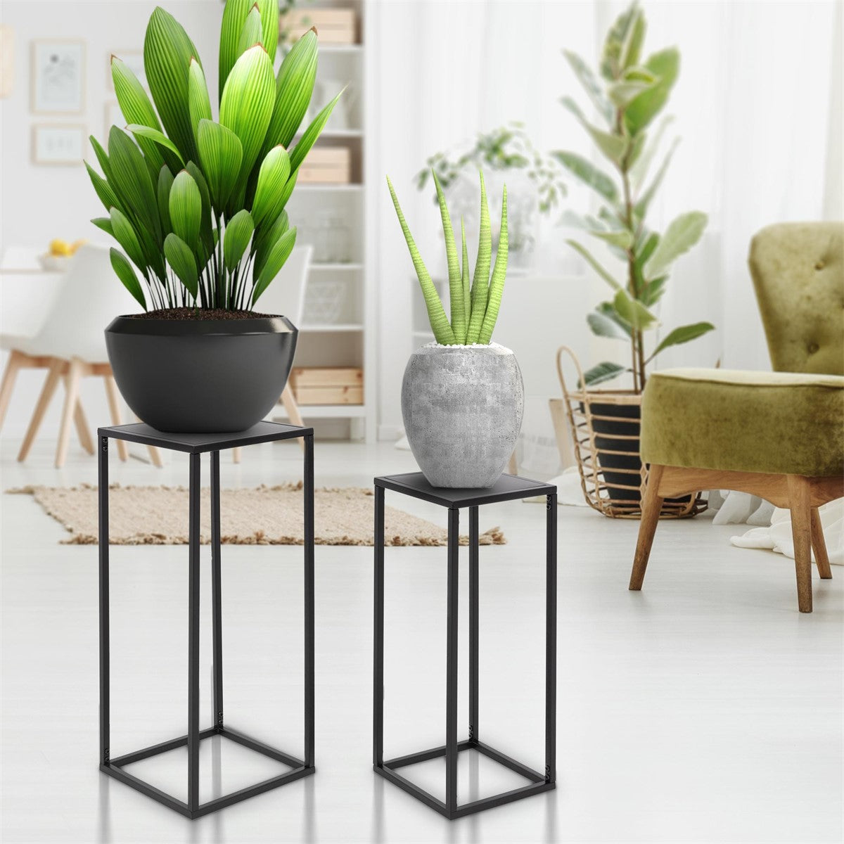 Two plants in pots on black stands in a bright room.