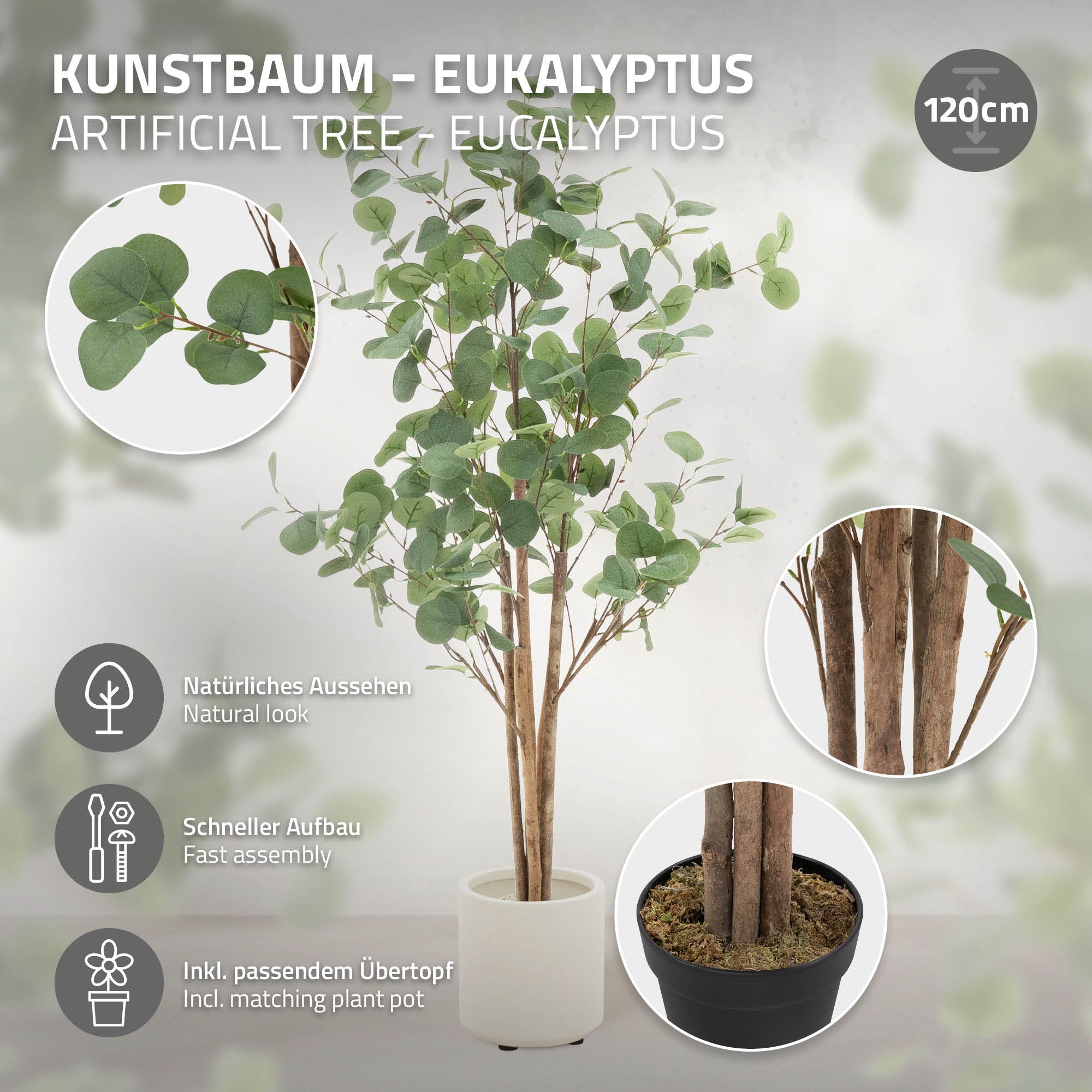 Tekokasvi eukalyptus kuvauksella ja korkeudella 120 cm.