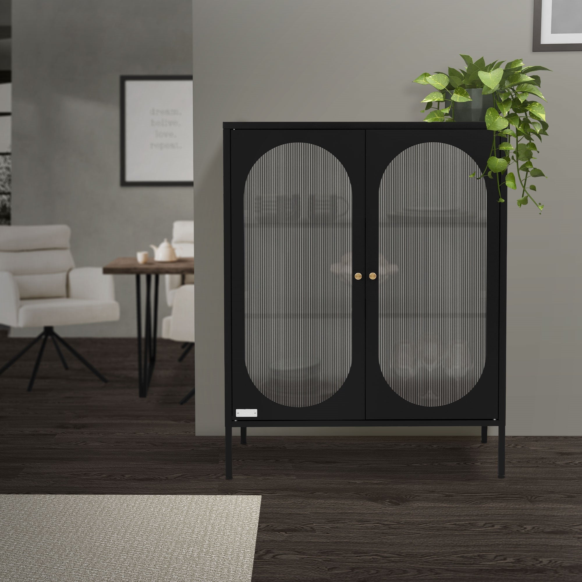 Vitrine noire large avec deux portes et des plantes.