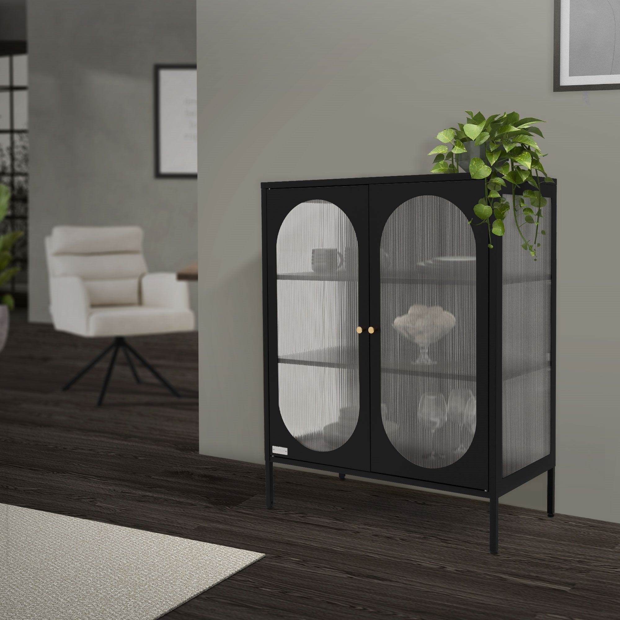 Vitrine noire avec deux portes en verre et des plantes sur le dessus.