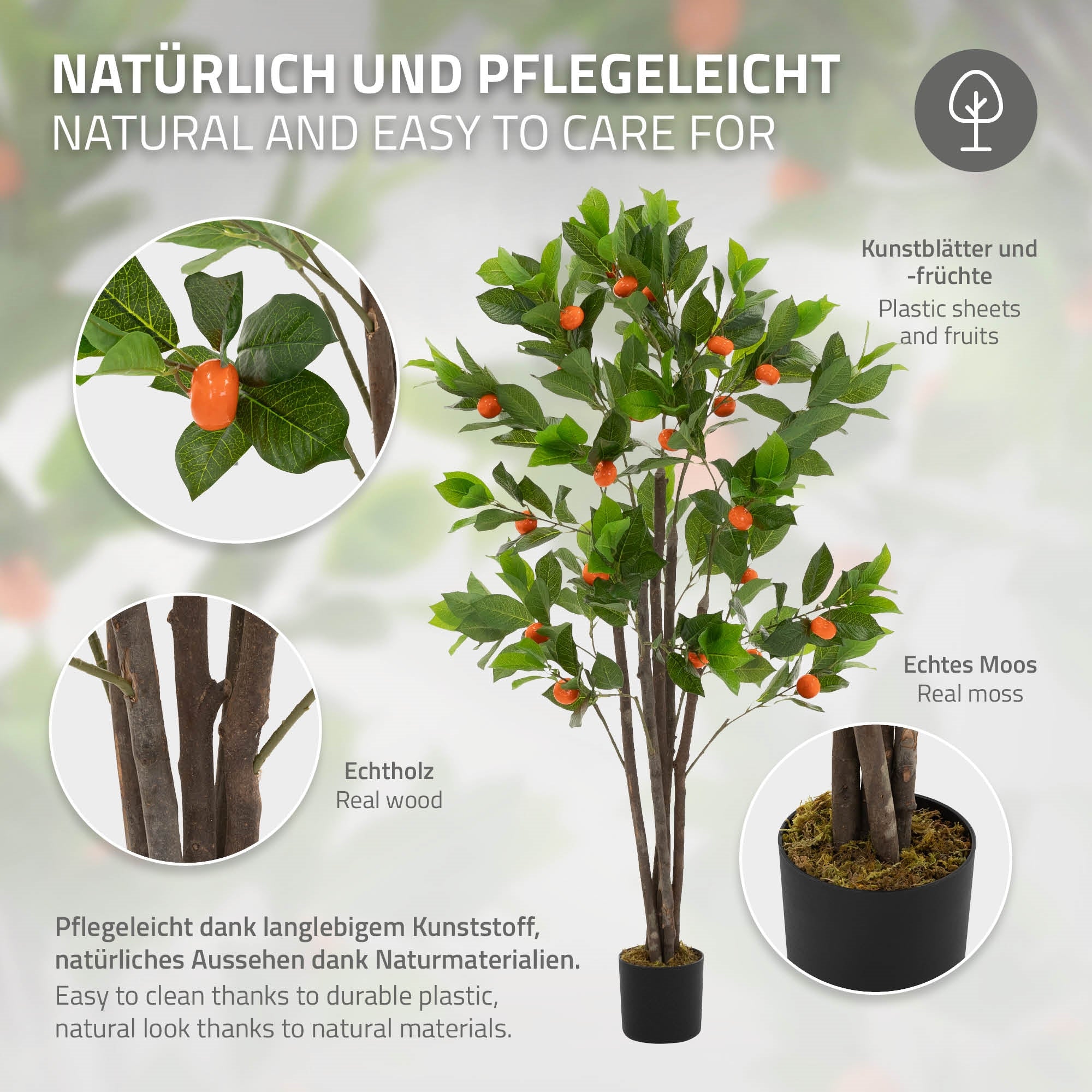 Grafik mit Informationen über den Kunstbaum und seine Pflege.
