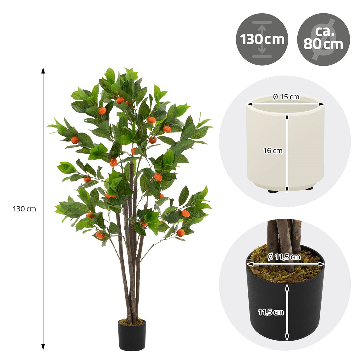 Tekopuu, jossa on vihreät lehdet ja oranssit hedelmät, korkeus 130 cm.