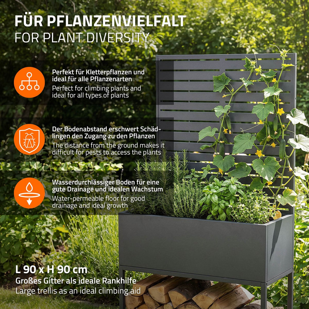 Pflanzkasten mit Kletterpflanzen und Informationen zur Nutzung.