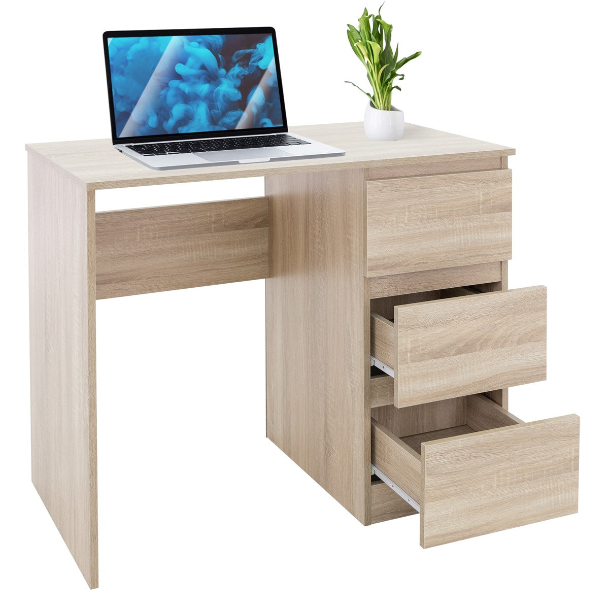Ein Schreibtisch aus hellem Holz mit einem Laptop und einer Pflanze auf der Oberfläche.