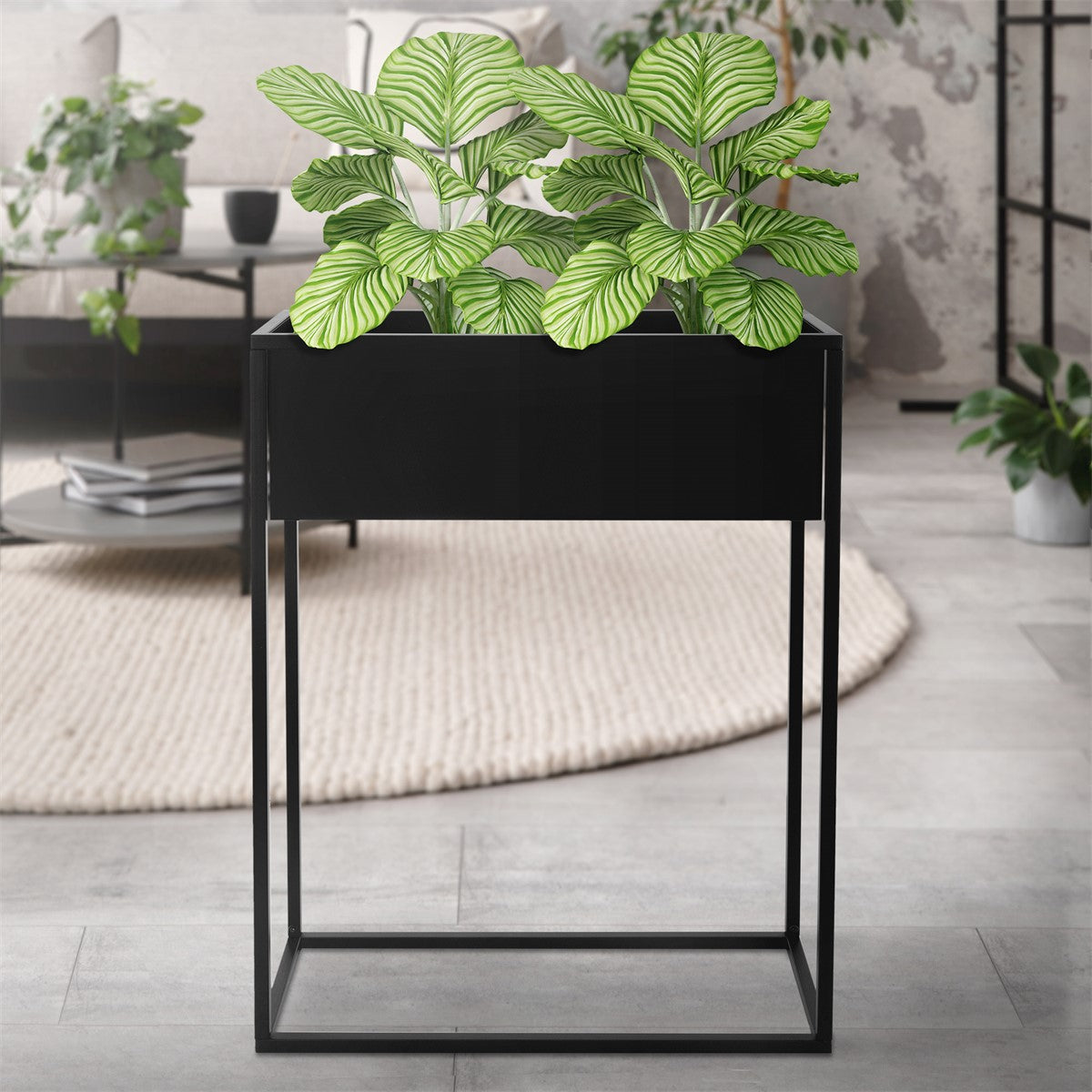 Flower pot with green plants on a black stand in a modern room.