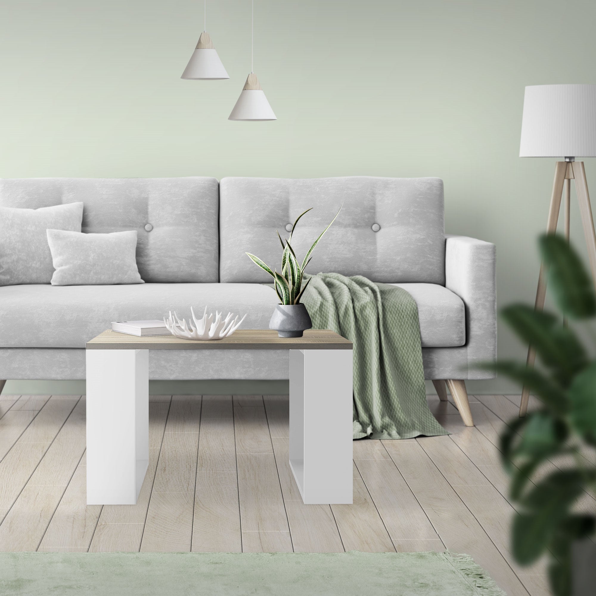 Ein Wohnzimmer mit grauem Sofa, Tisch und Pflanzen auf einem hellen Boden.