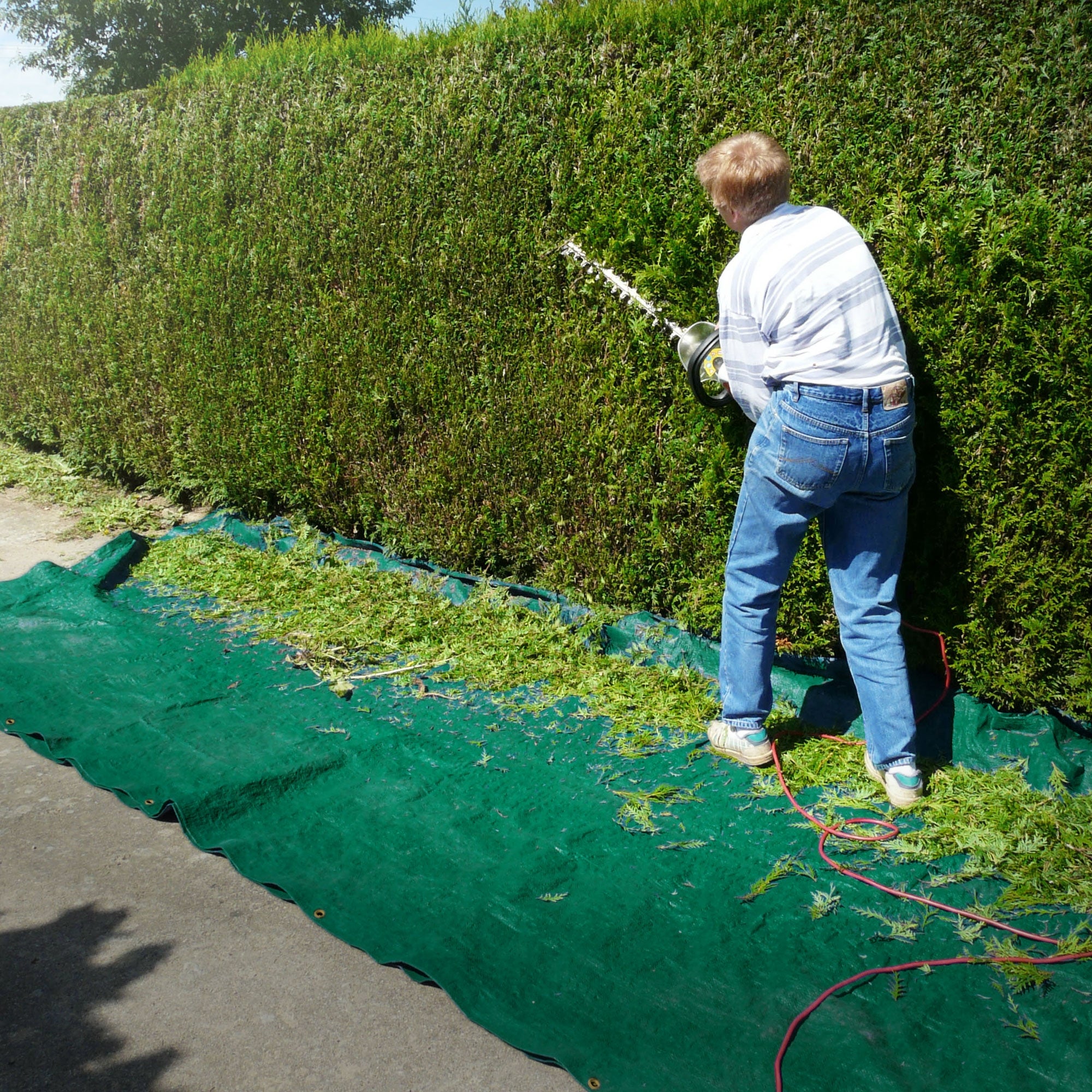 Mann schneidet eine Hecke, grüne Plane liegt darunter.