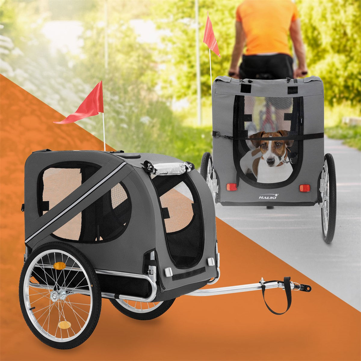 Dog trailer with a dog on a path surrounded by trees.