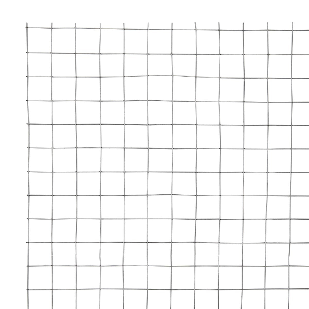 Gitterstruktur mit quadratischen Maschen auf weißem Hintergrund.