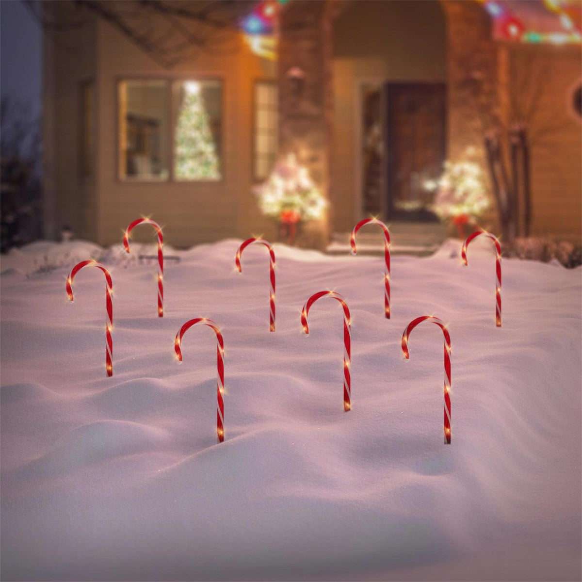 Zuckerstangen stehen im Schnee vor einem festlich beleuchteten Haus.
