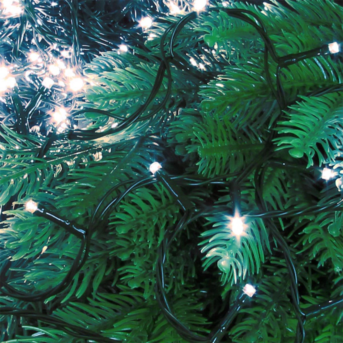 Close-up de ramos verdes de abeto com luzes brancas.