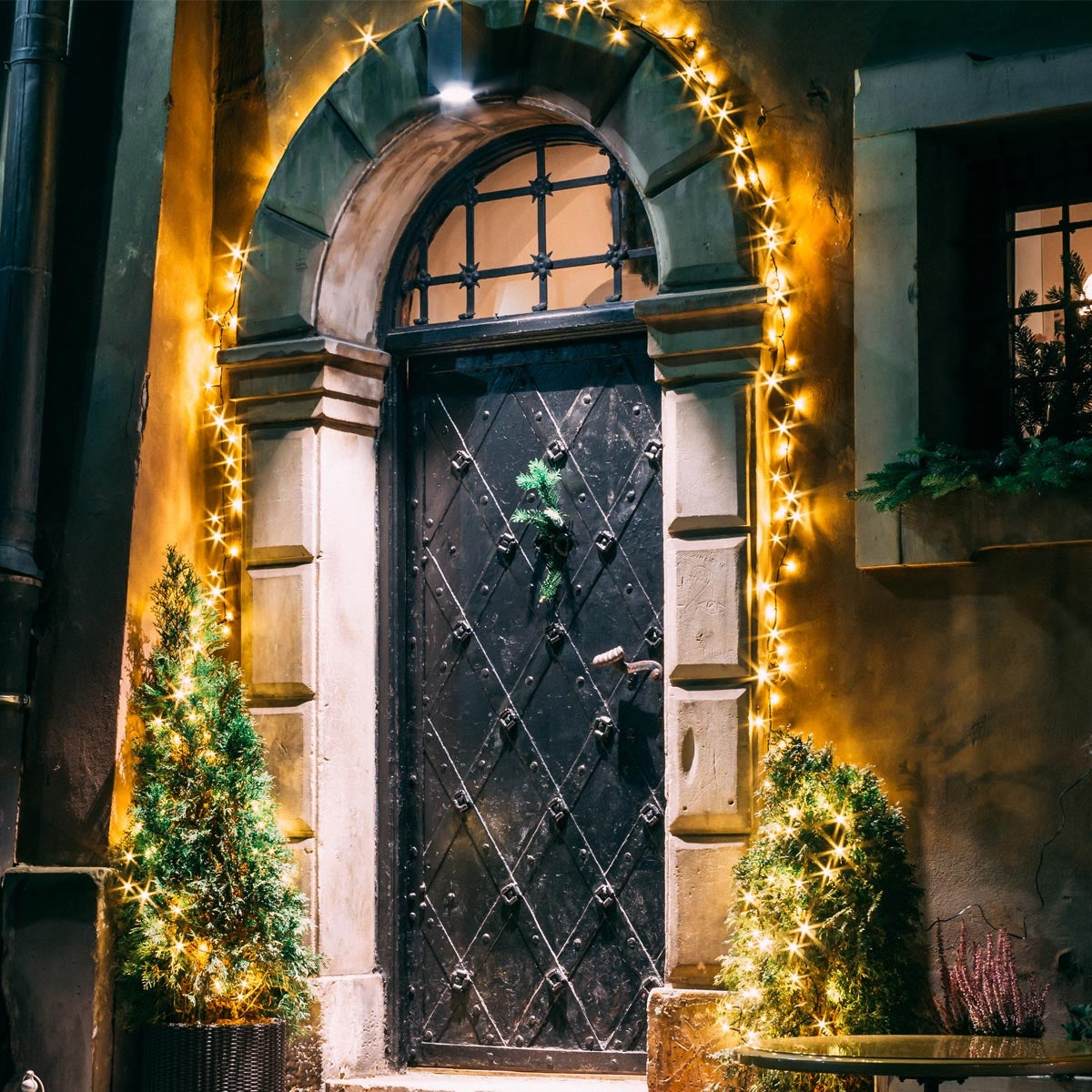 Una porta decorata festosamente con luci e due piante verdi.